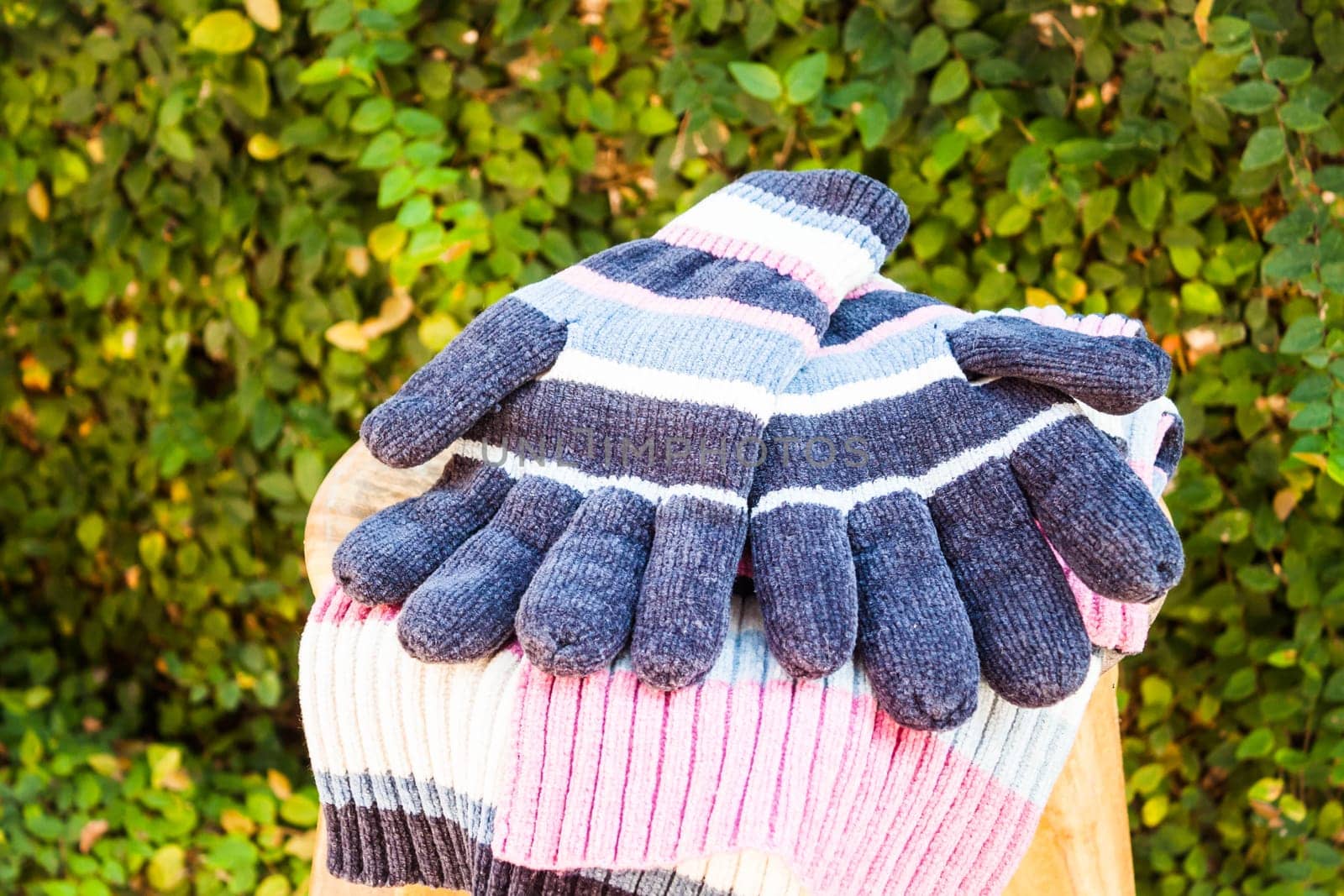 Knit wool gloves and scarf, stock photo