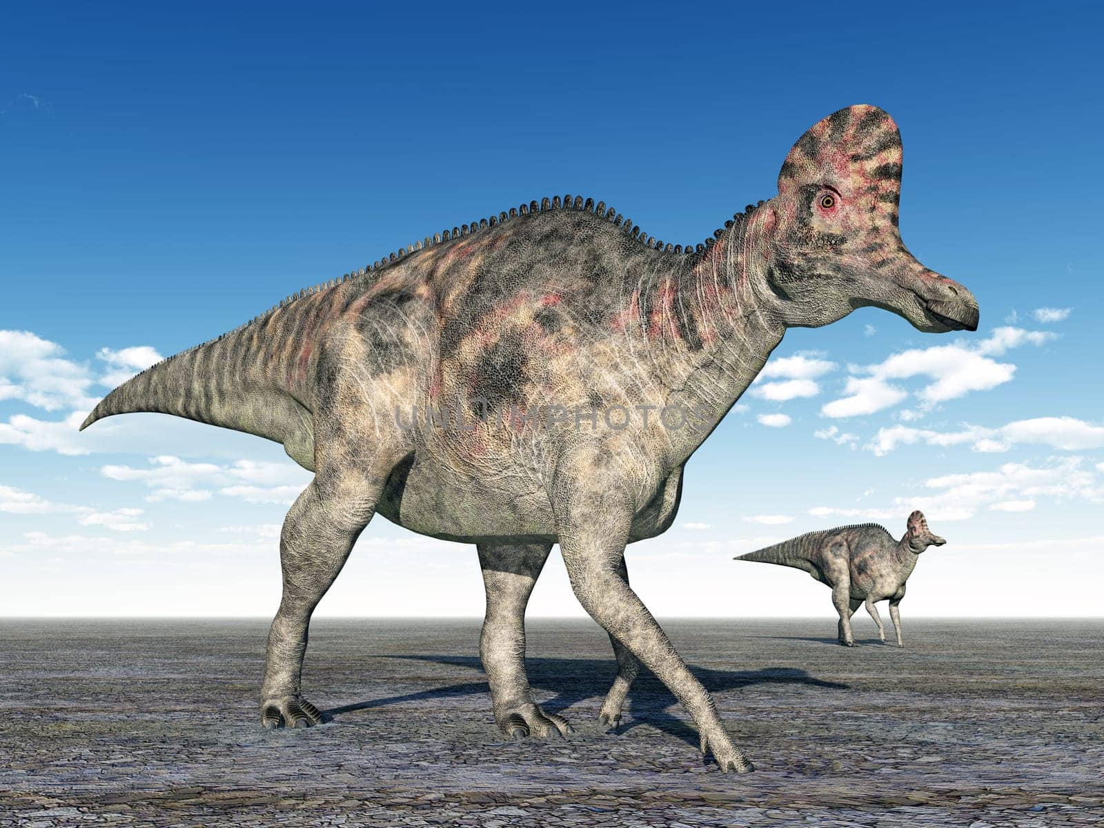 Computer-generated 3D illustration with the dinosaur Corythosaurus