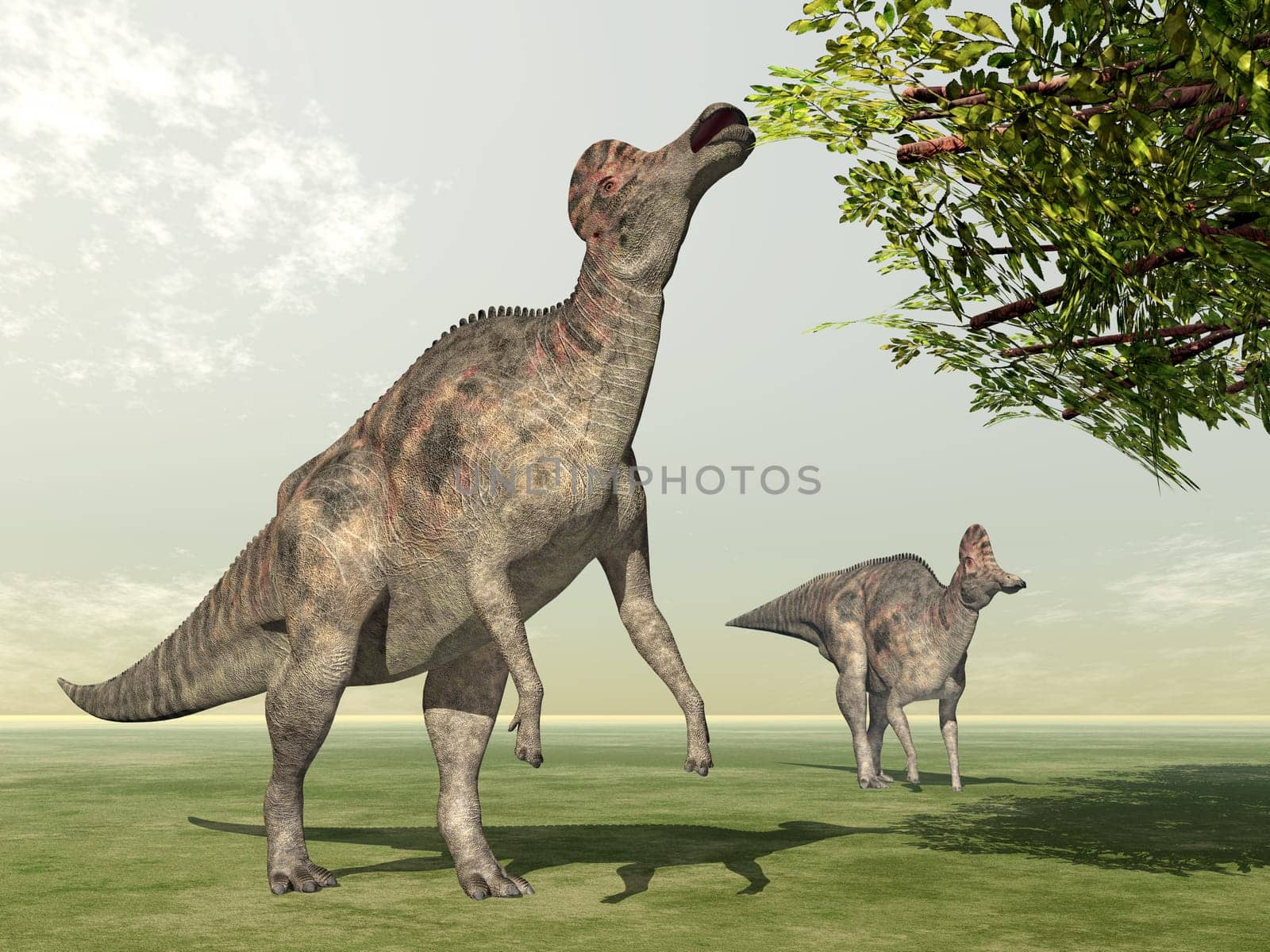 Computer-generated 3D illustration with the dinosaur Corythosaurus