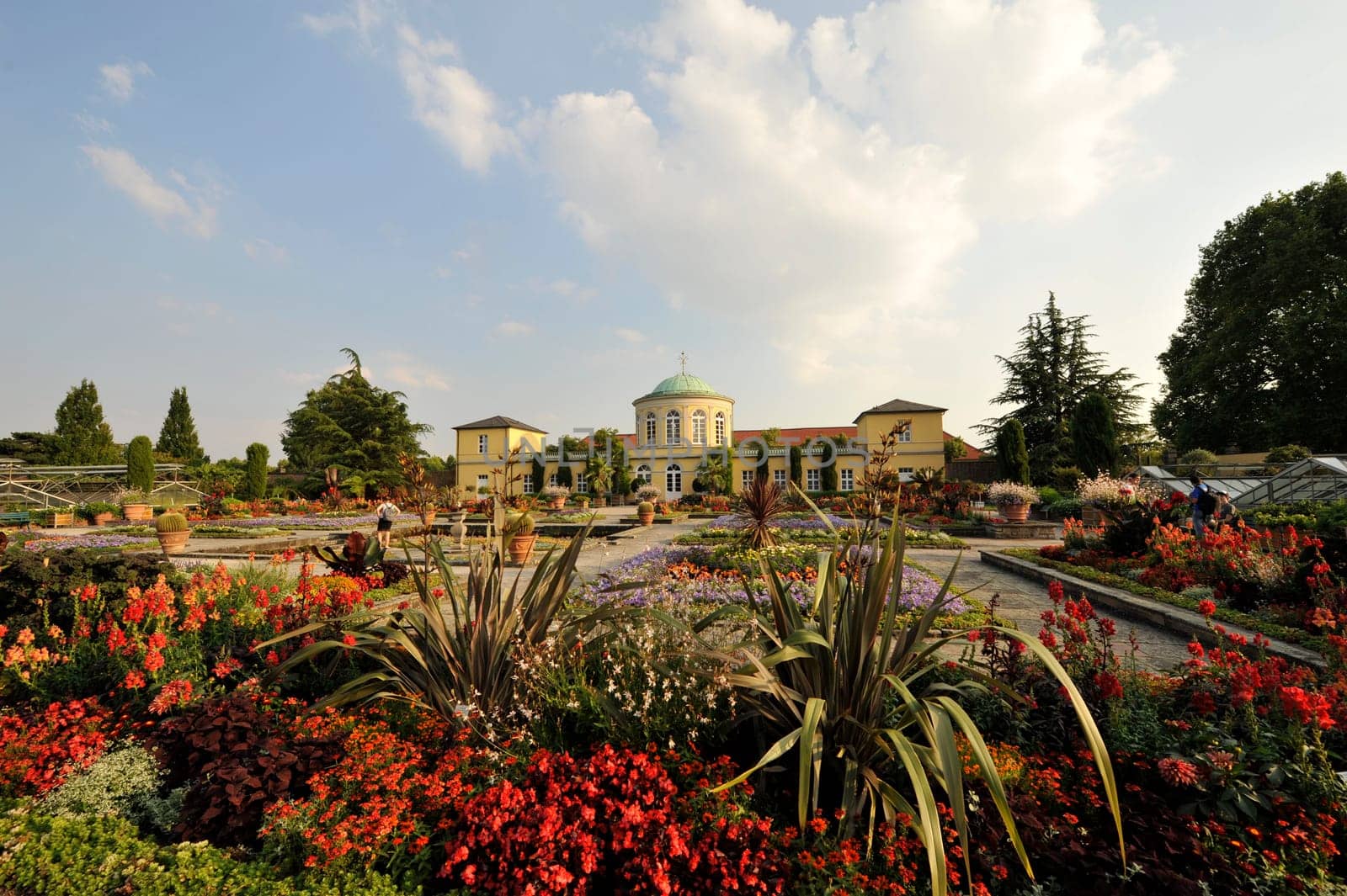 Flowers in Herrenhausen Gardens Hanover Germany.