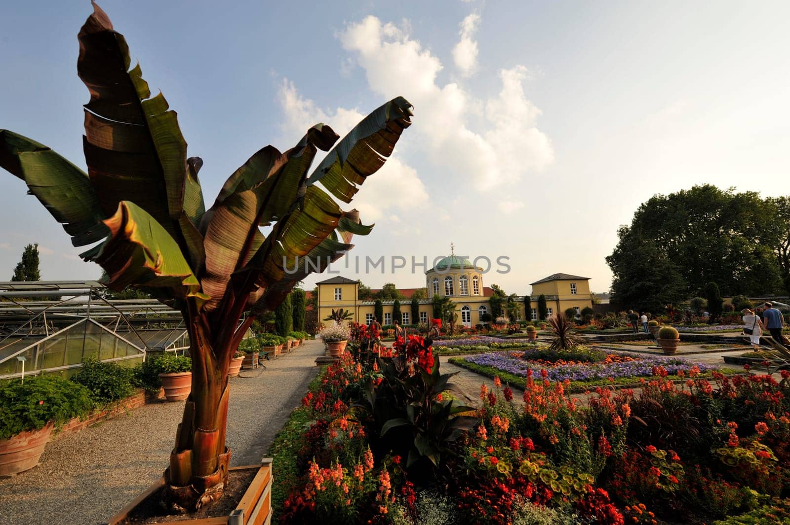 Flowers in Herrenhausen Gardens Hanover Germany.