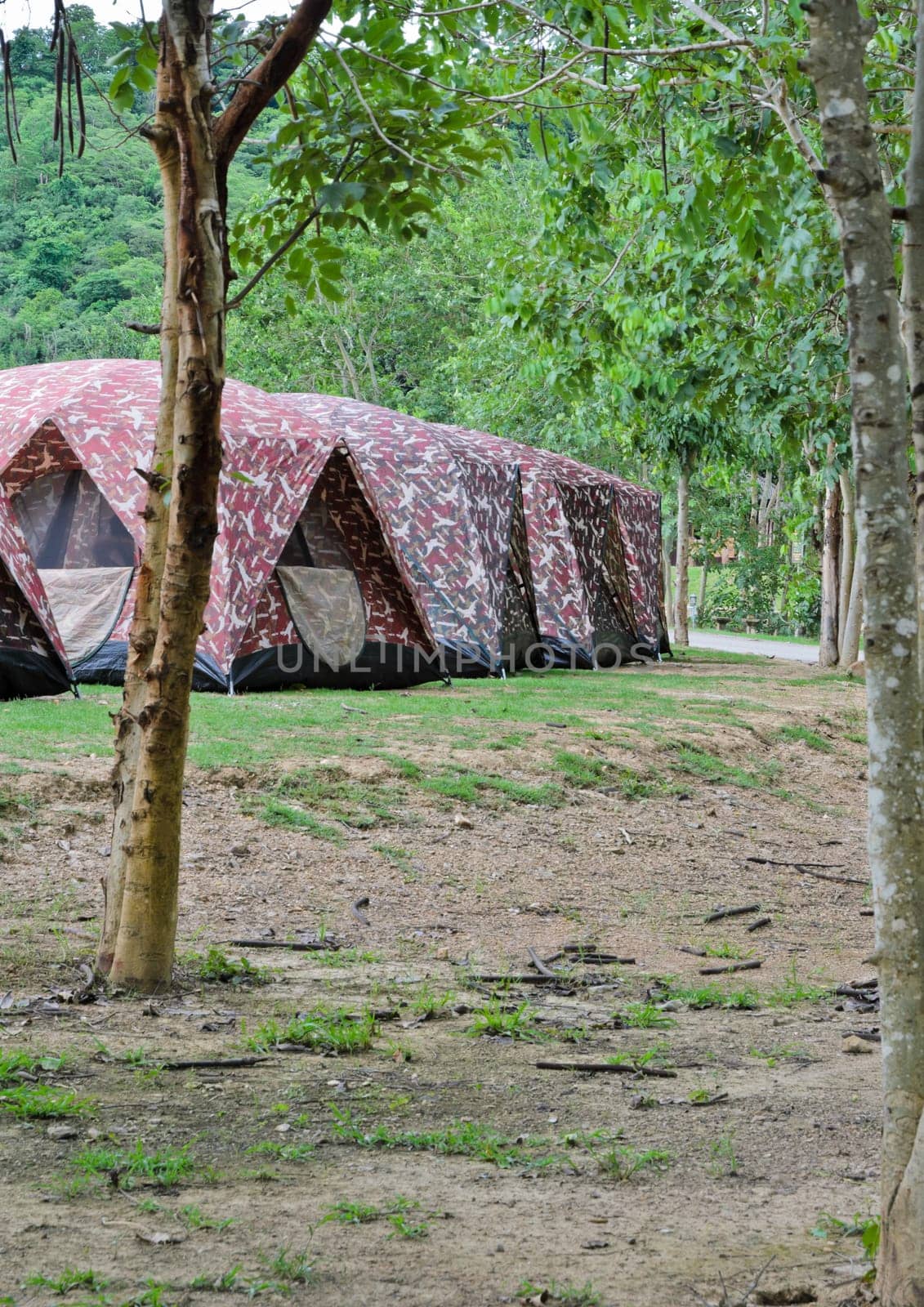 Row of camping tents