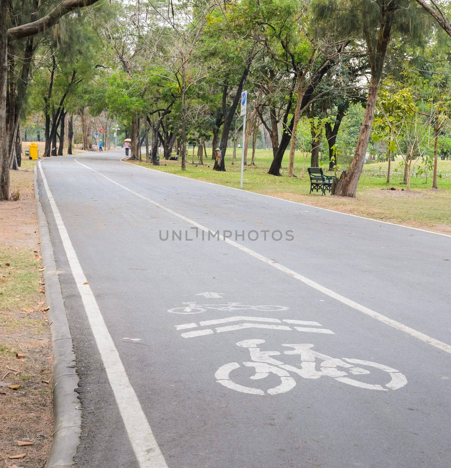 Bicycle road sign in the park