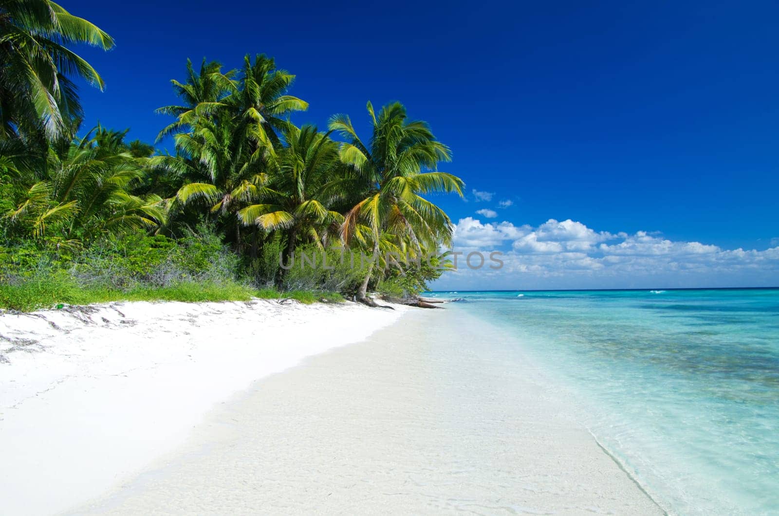 sea beach blue sky sand sun daylight relaxation landscape