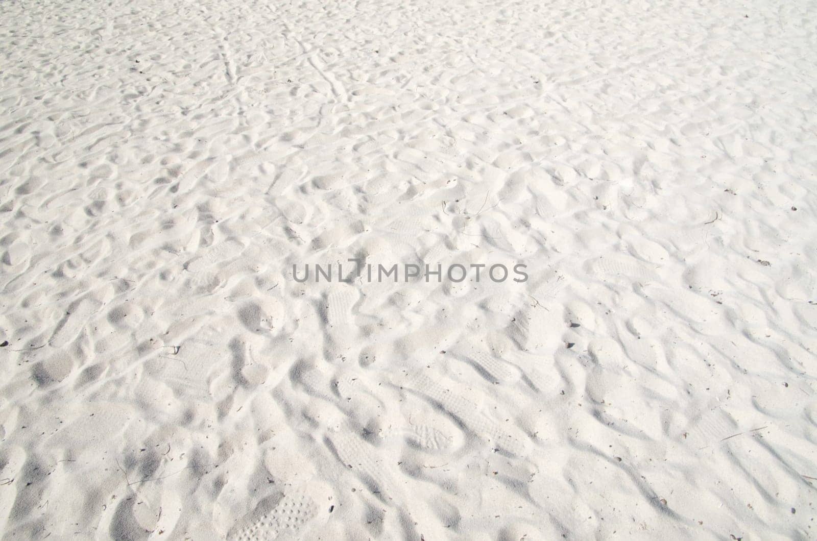 Close up shot of coral sand