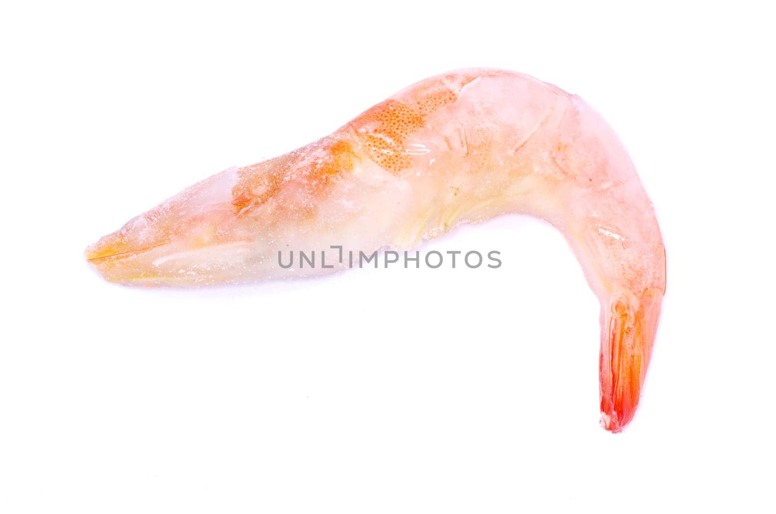 shrimp isolated on a white background
