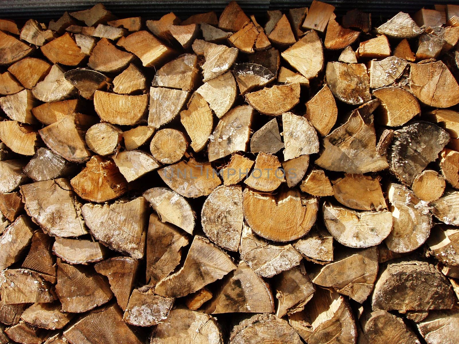 Stack of wood in backyard of a house
