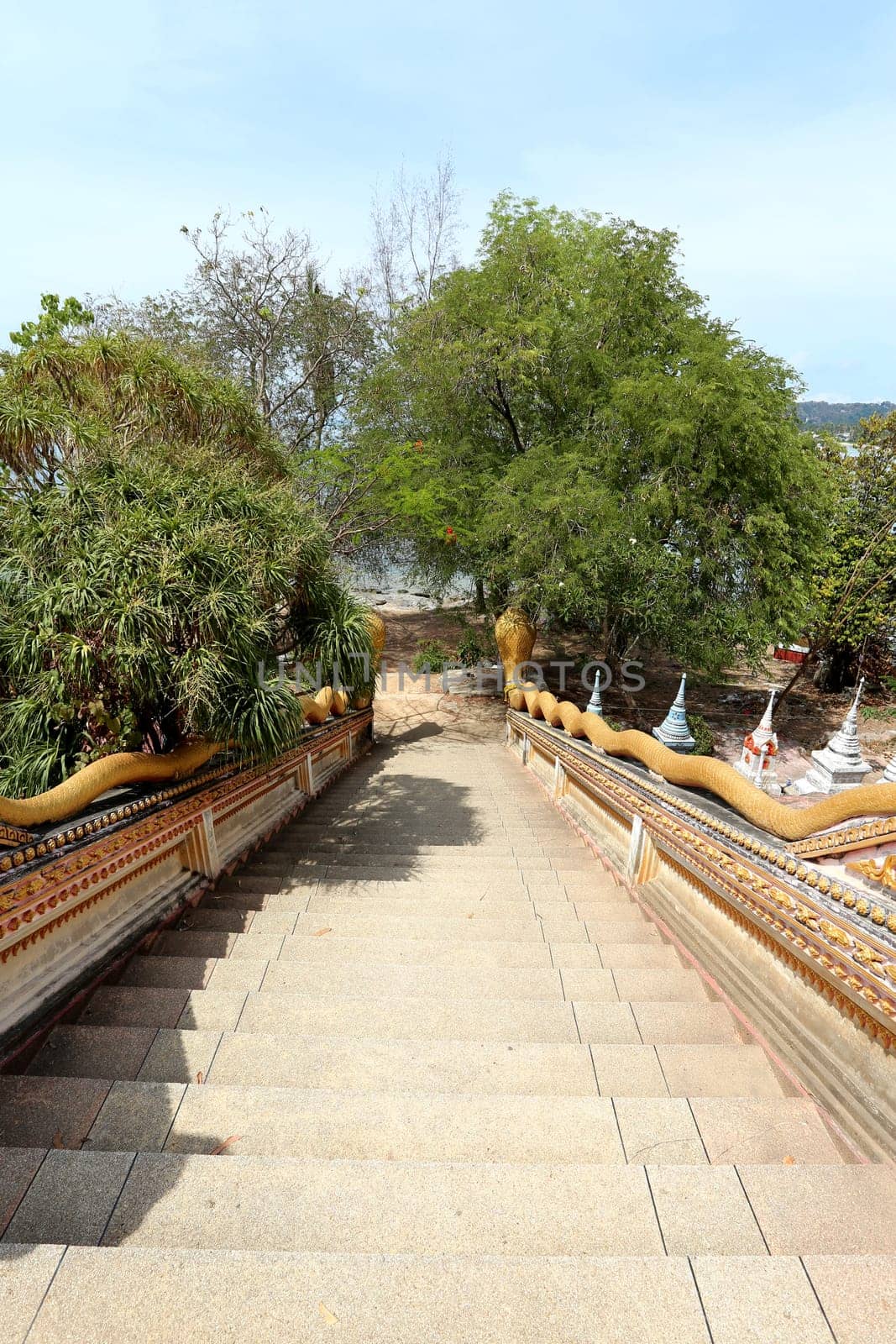 Staircase with cobras