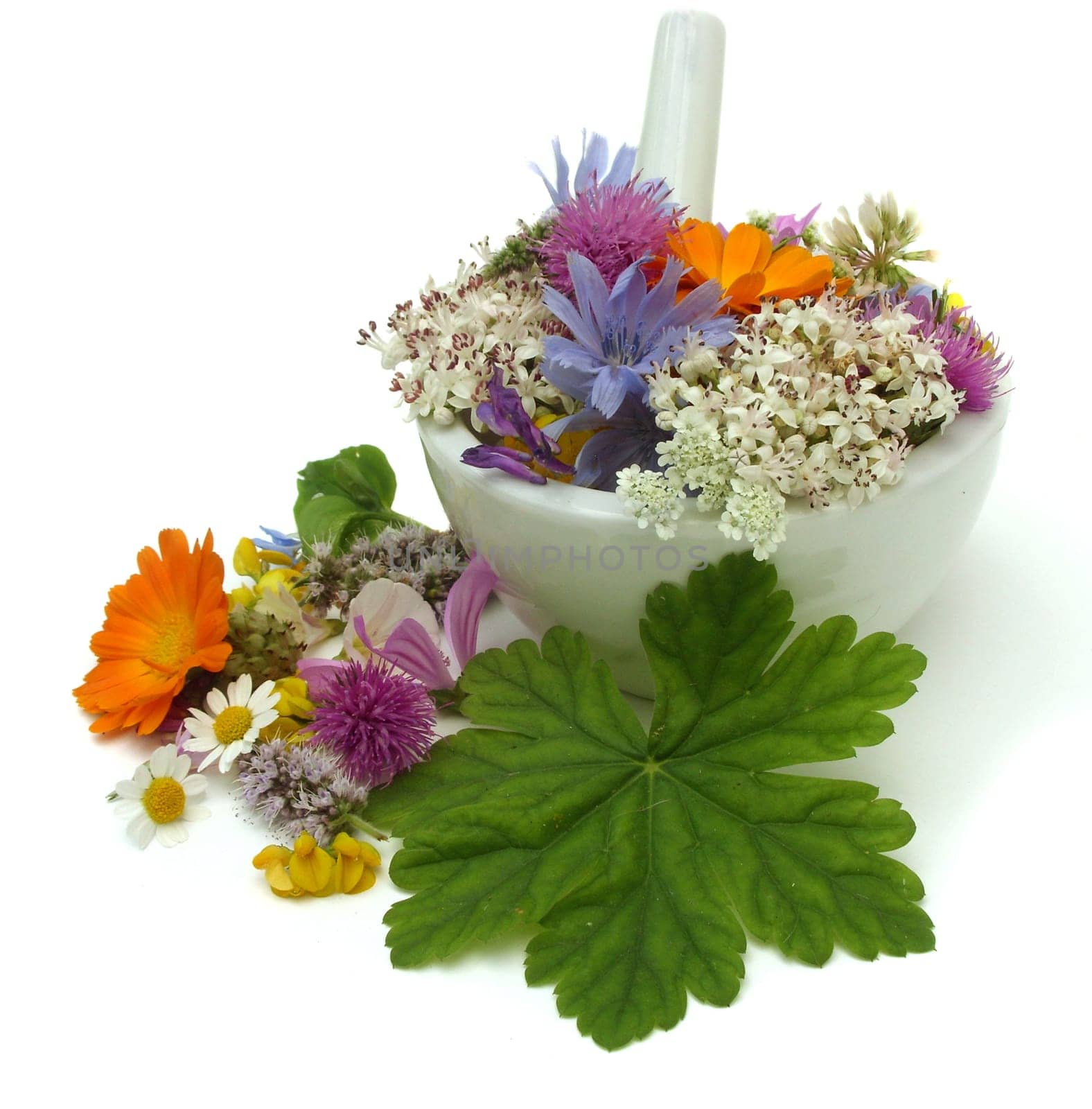 Health from nature