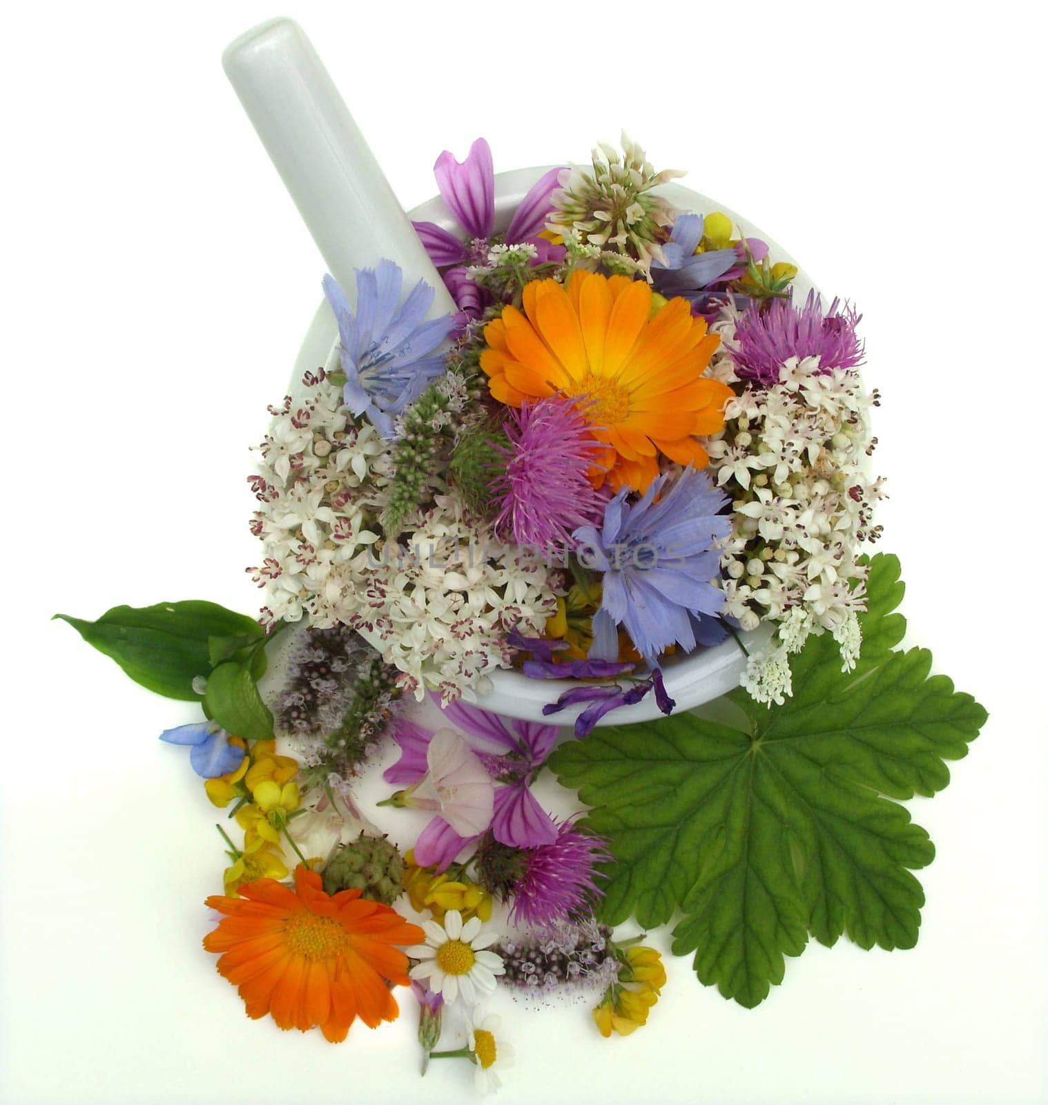 Health from nature