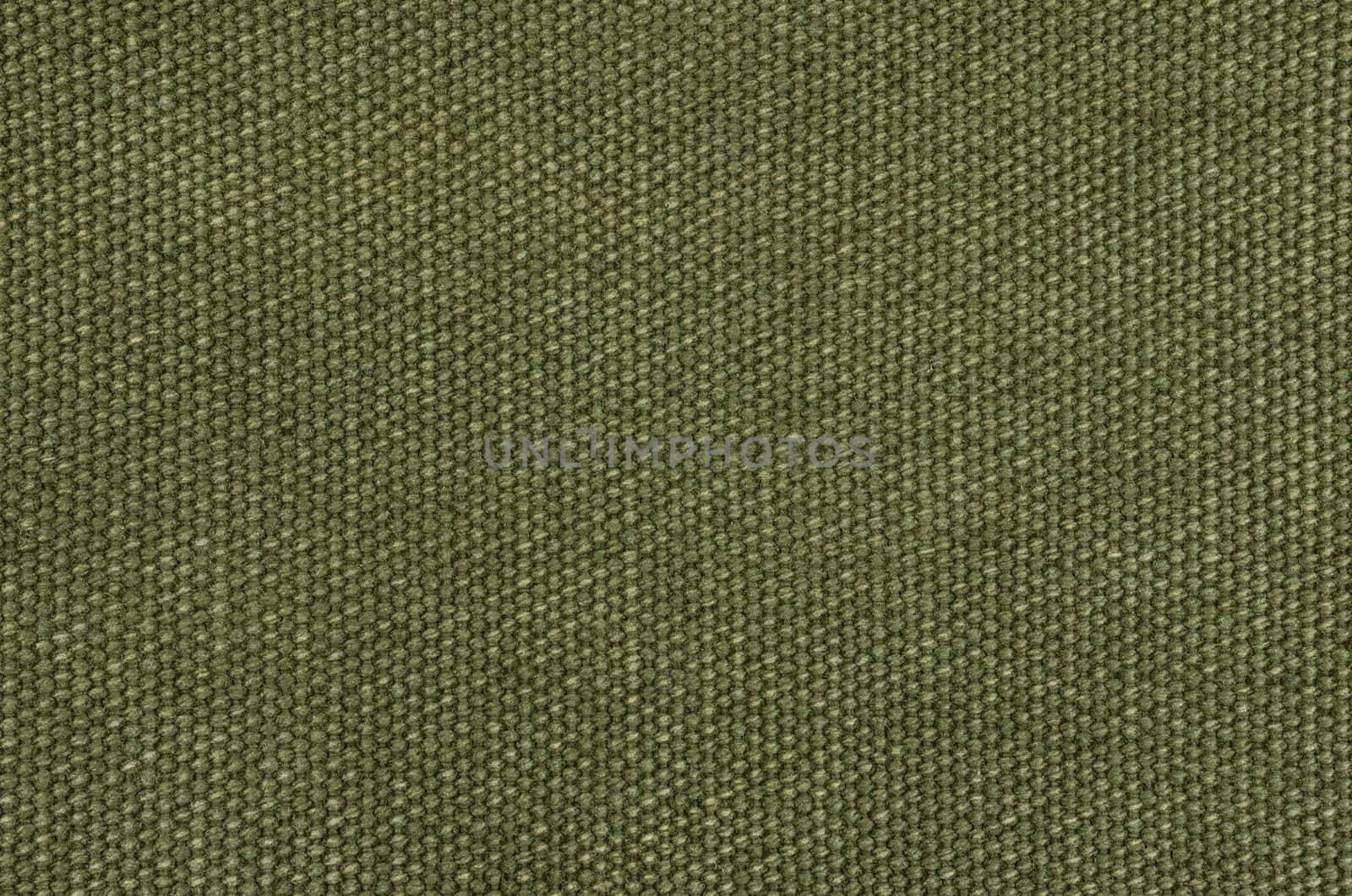 Olive green cotton fabric