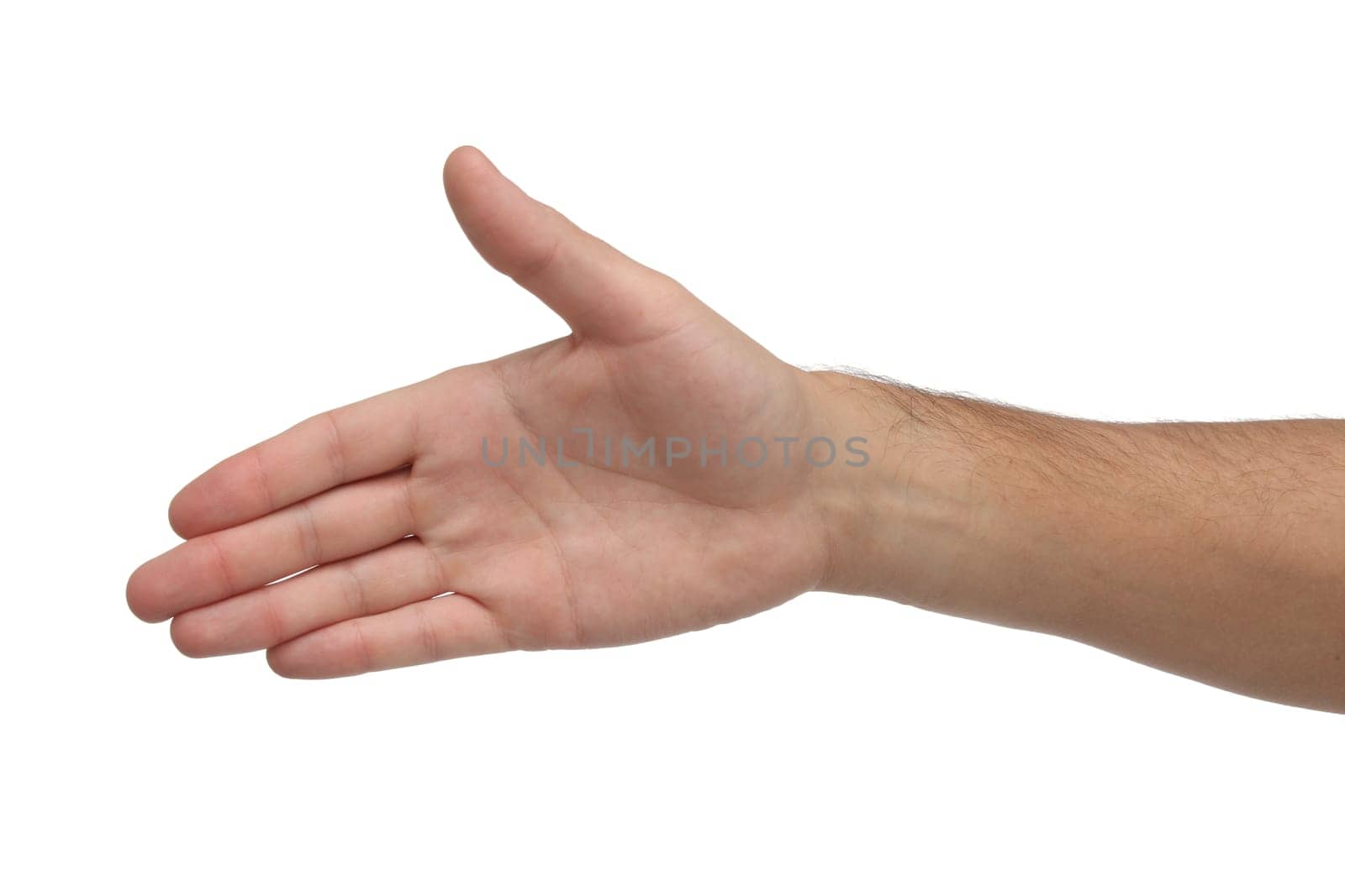 Open hand isolated on white bakground
