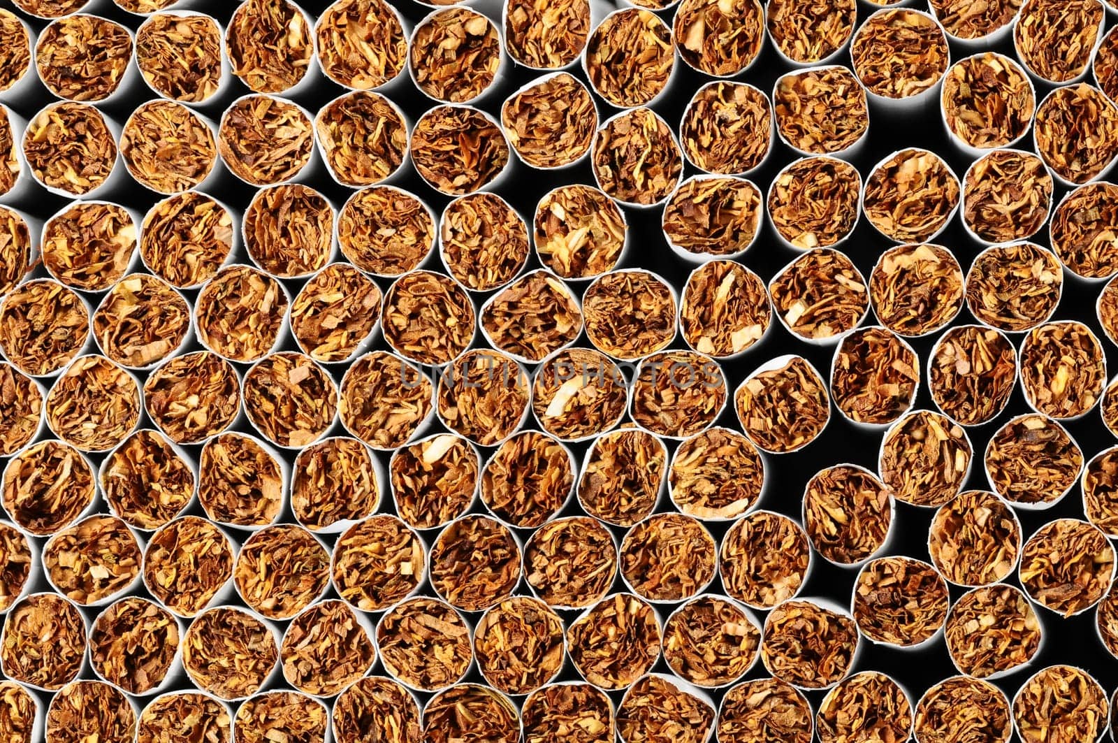 Close-up of Tobacco Cigarettes Background or texture