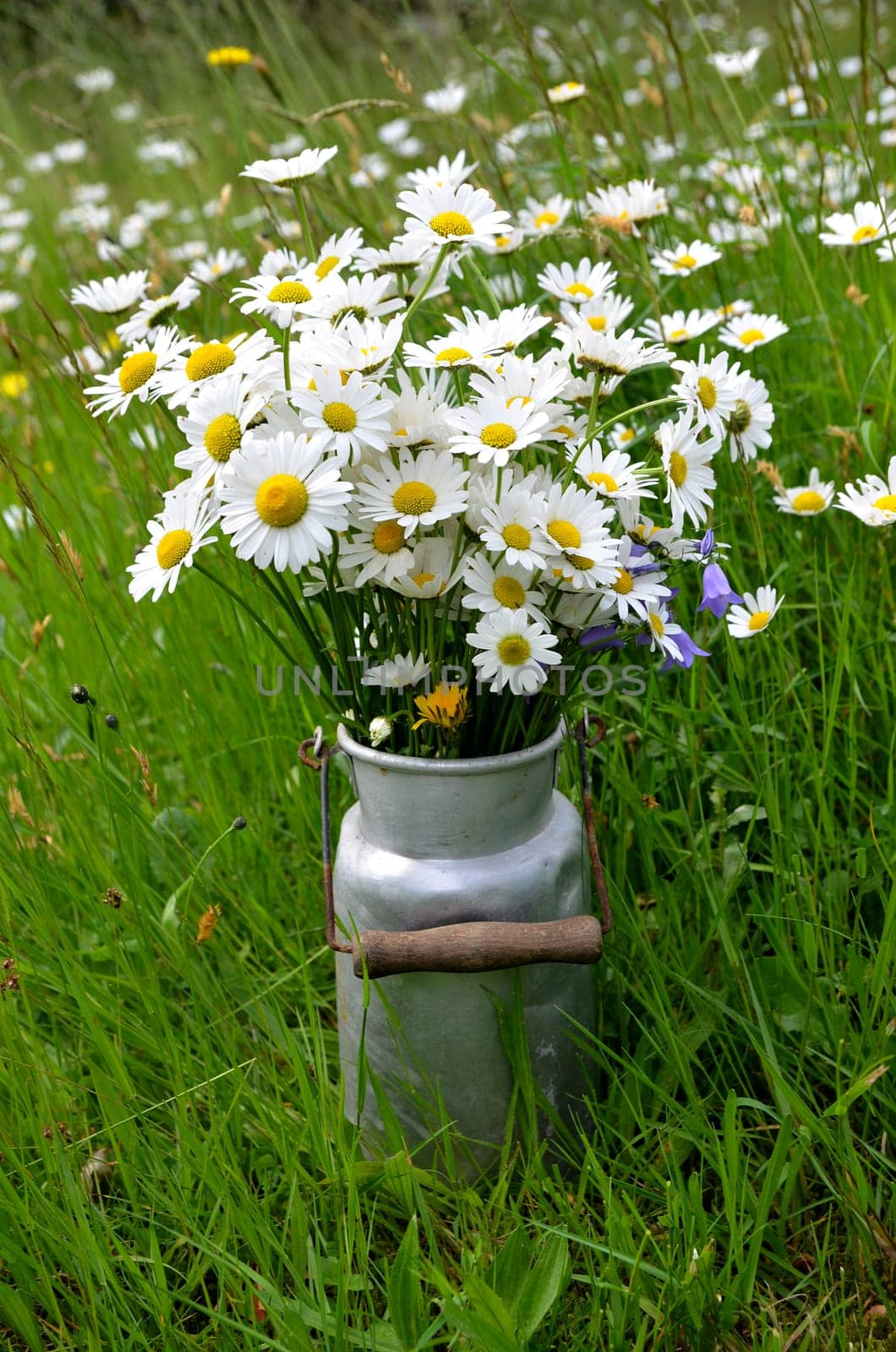 Bouquet flower meadow colorful flowers background