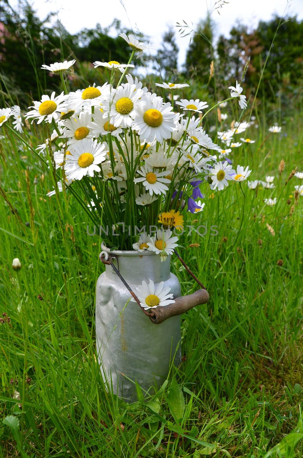 Bouquet flower meadow colorful flowers background