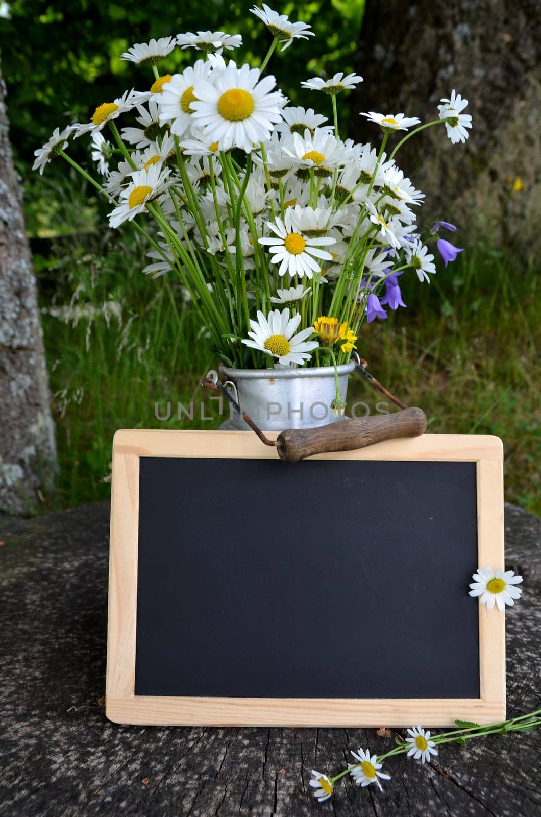 Flower bouquet flower meadow colorful flowers background margerites