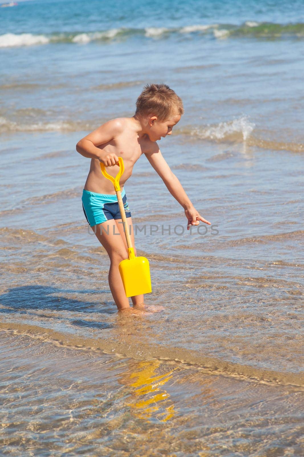 Cute boy looking for sea shells on the beach
