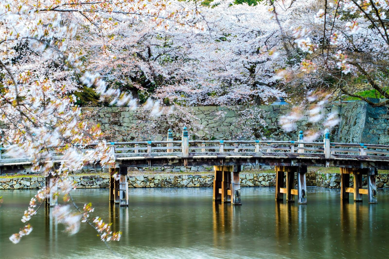 Kyoto, Japan - April 12, 2013