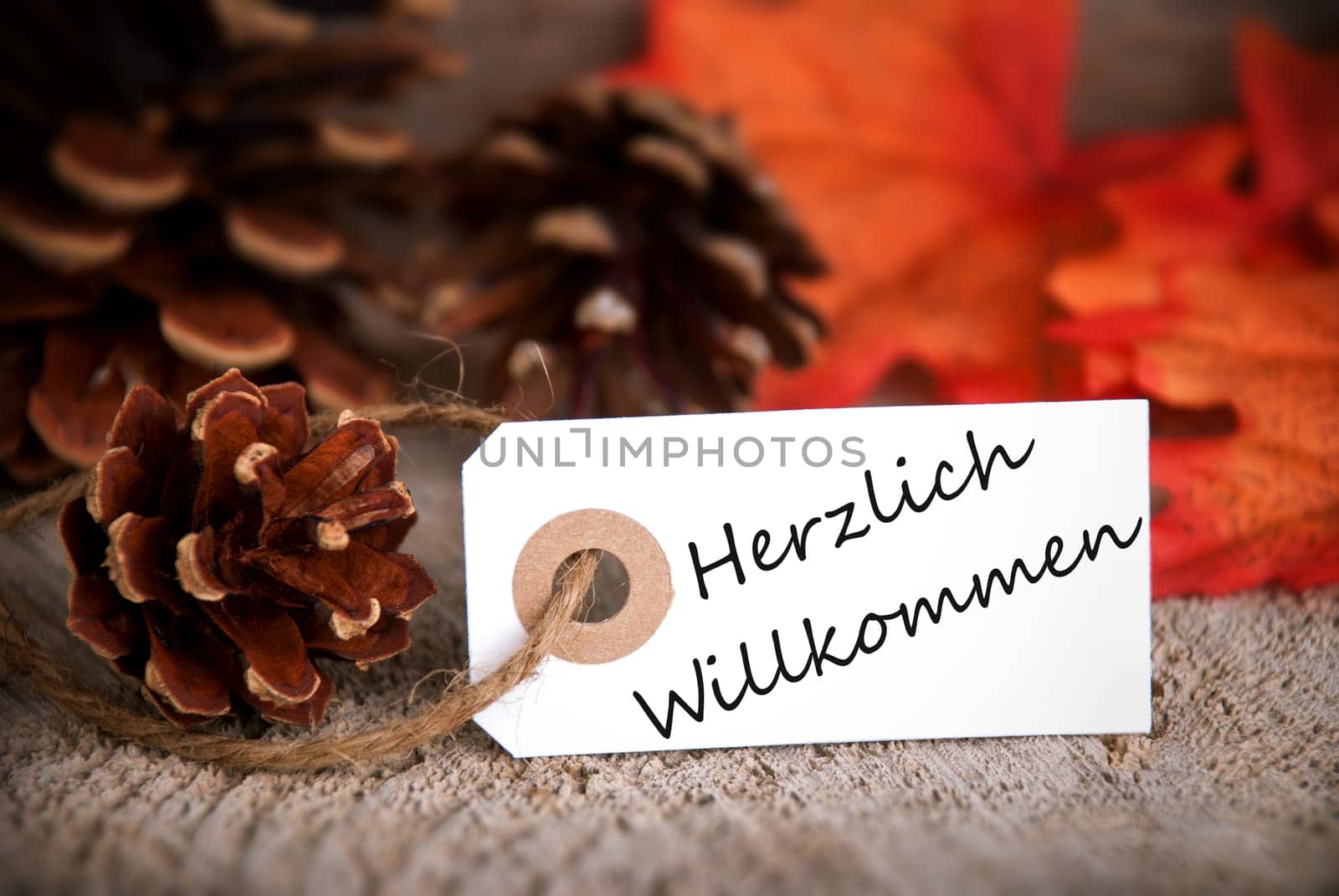 The German Words Herzlich Willkommen, which means Welcome, on a Label as Fall Background