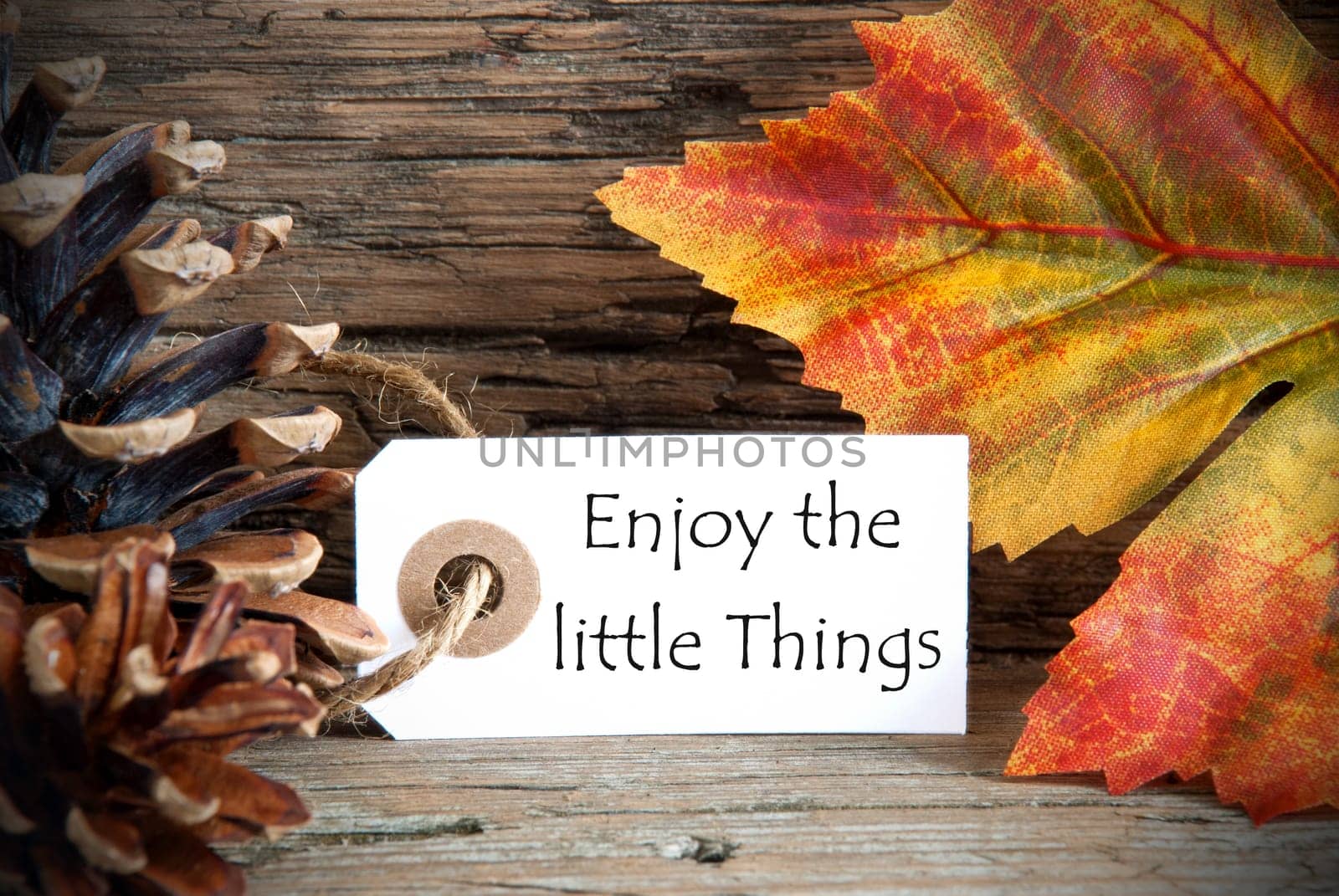 A Fall Label with the Life Quote Enjoy the little Things, on Wood