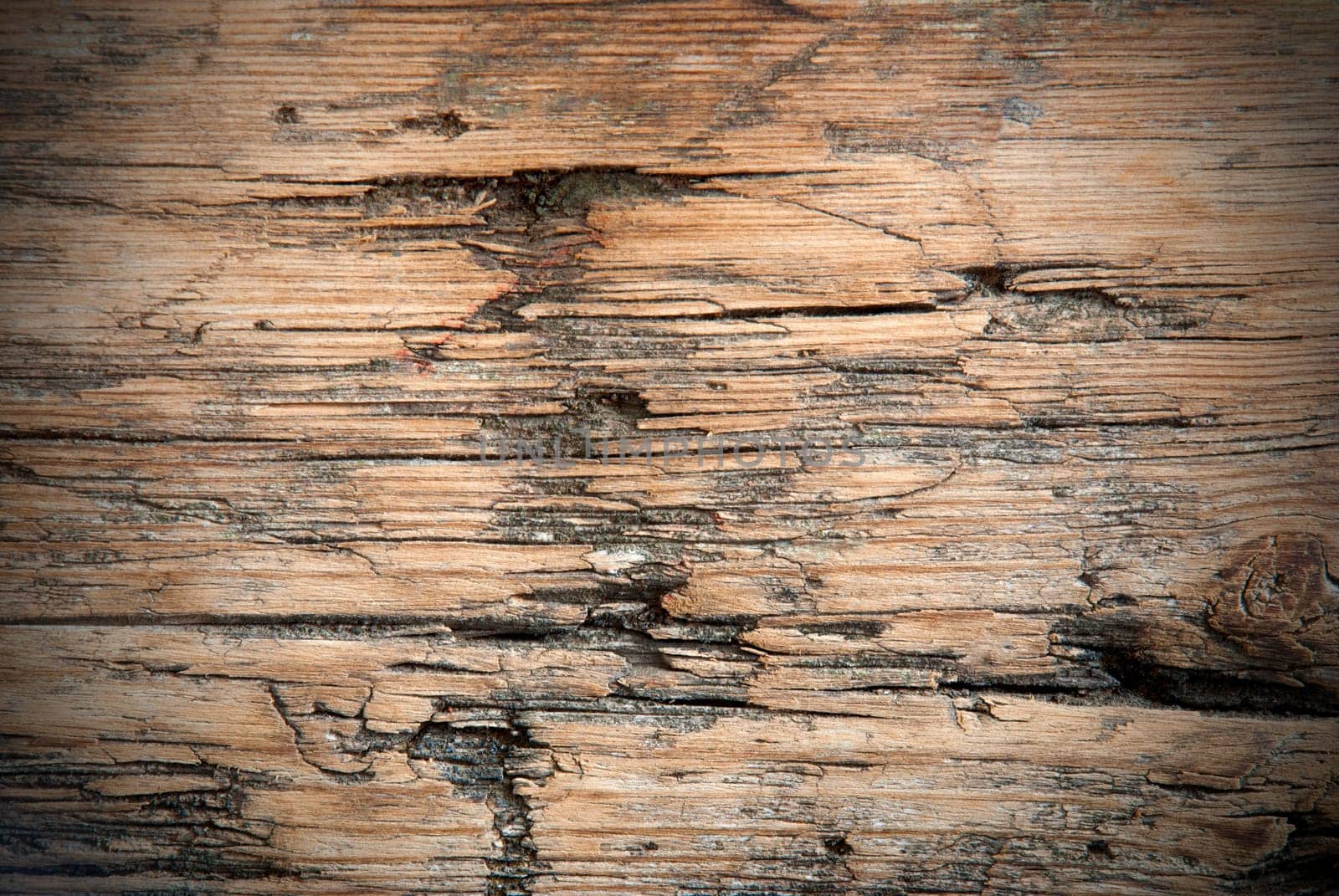 Grungy Wood Texture or Background, Old Plank