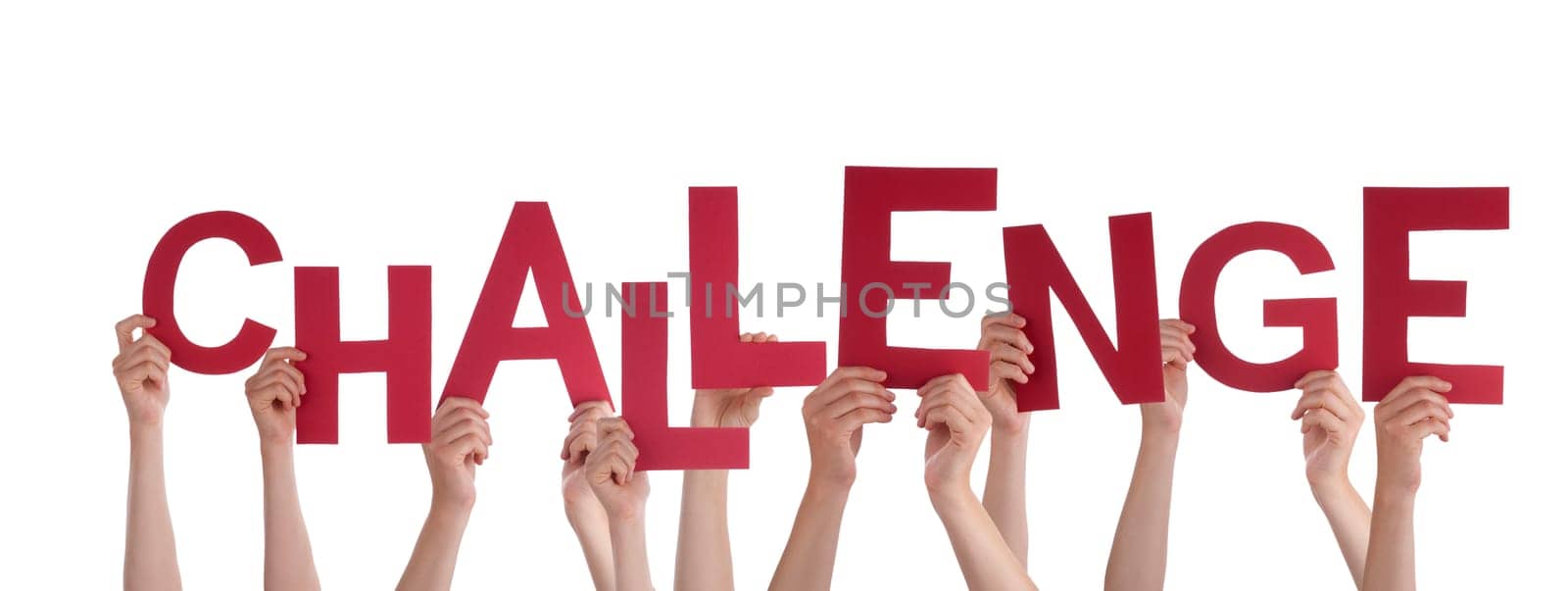 Many Hands Holding the Red Word Challenge, Isolated