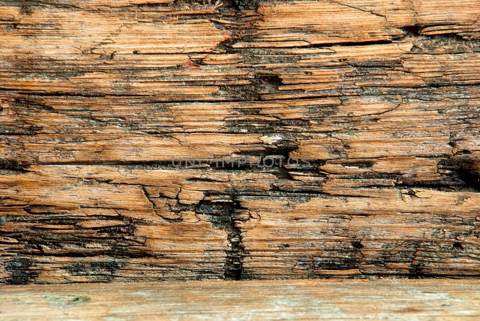 Wood Texture or Background, Old Plank