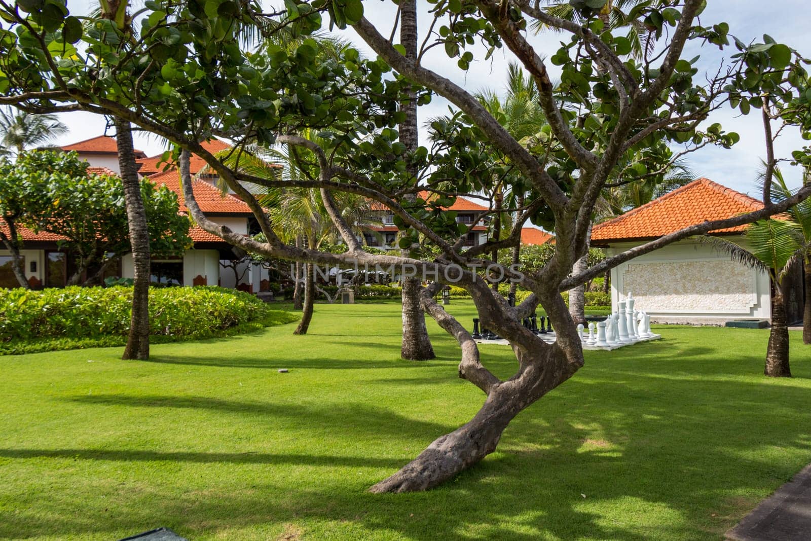 Artful carvings in stone stonemasonry in a green complex in Bali