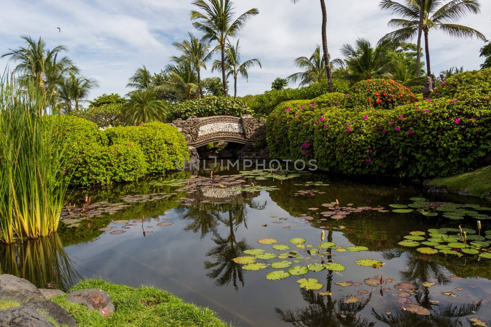 Swimming pool in a tropical resort on holiday with palm trees in the sunshine outdoors
