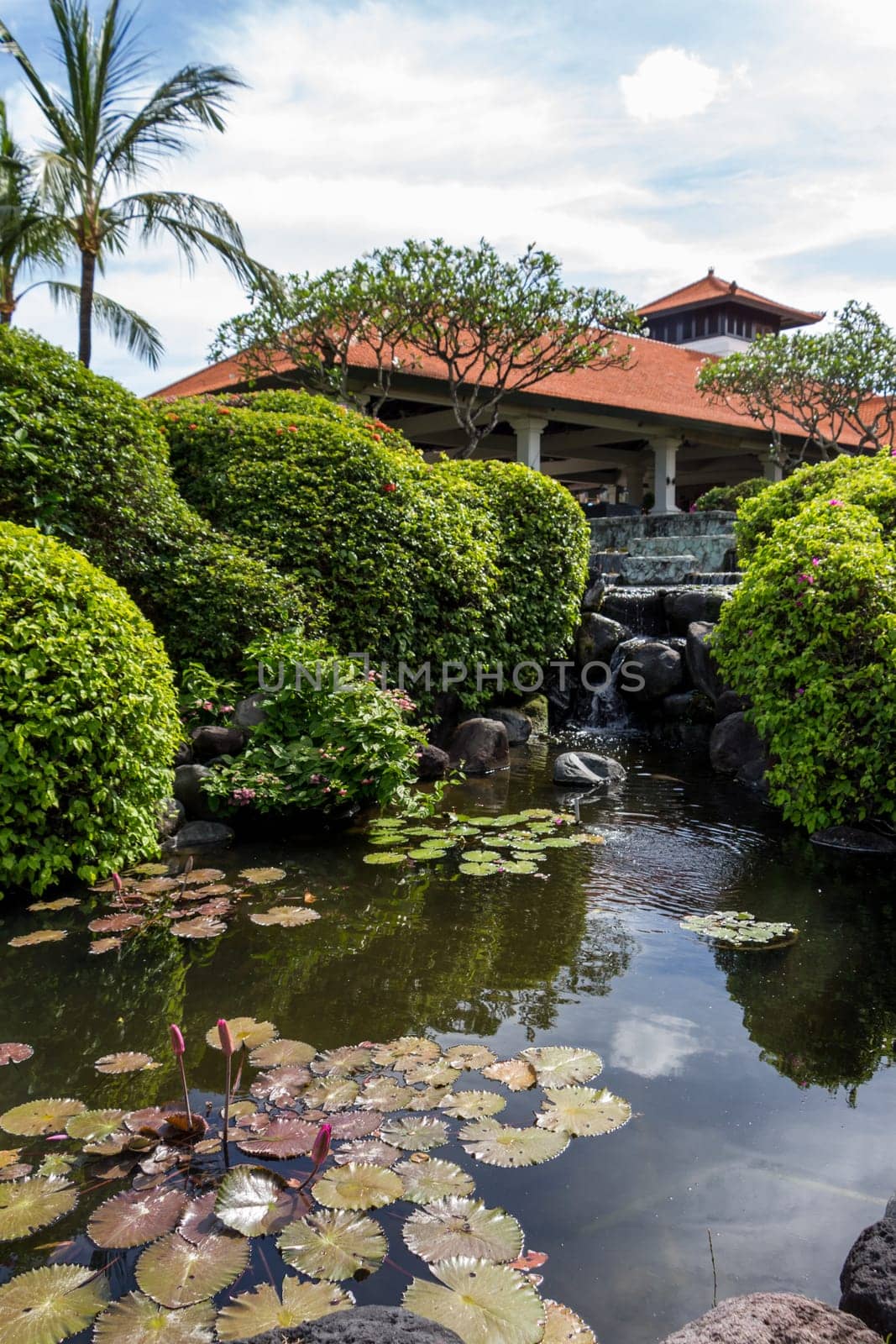 Swimming pool in a tropical resort on holiday with palm trees in the sunshine outdoors