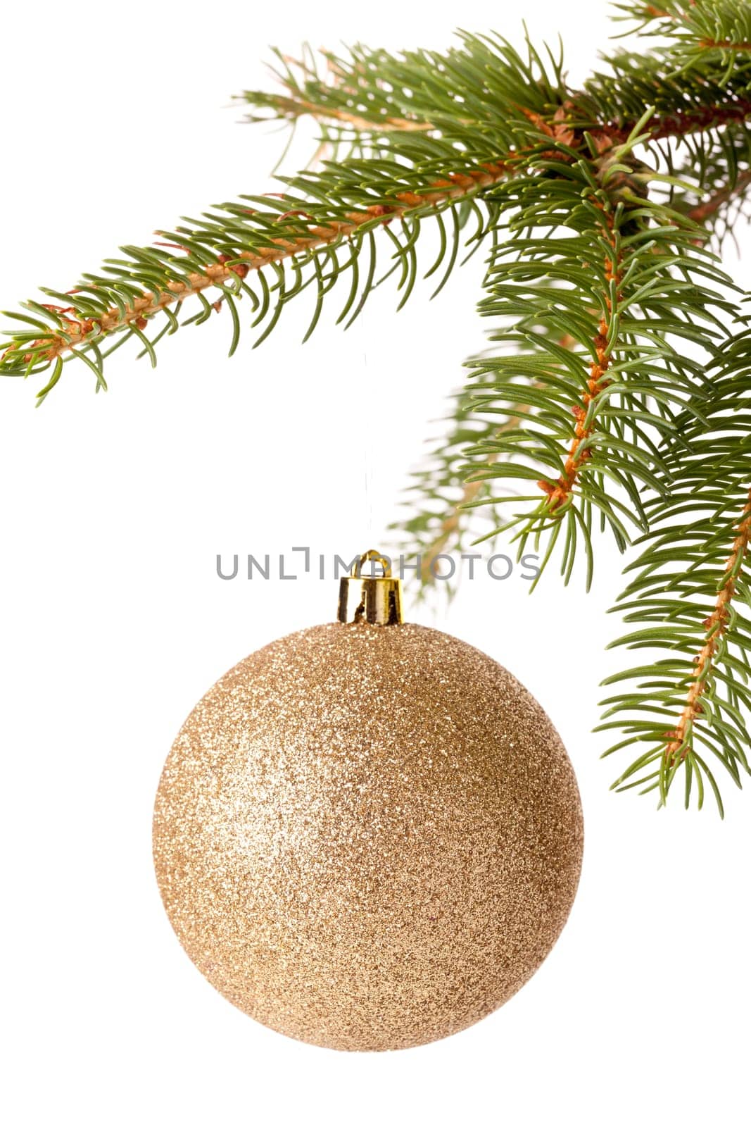 Traditional Christmas ball hung on a green fir branch isolated against a white background