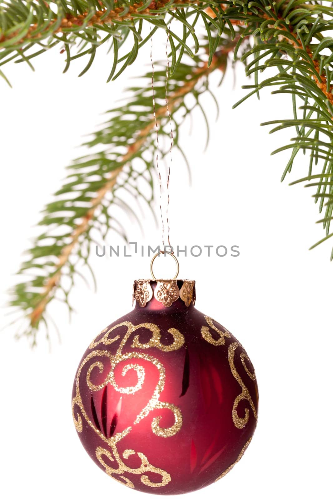 Traditional Christmas ball hung on a green fir branch isolated against a white background