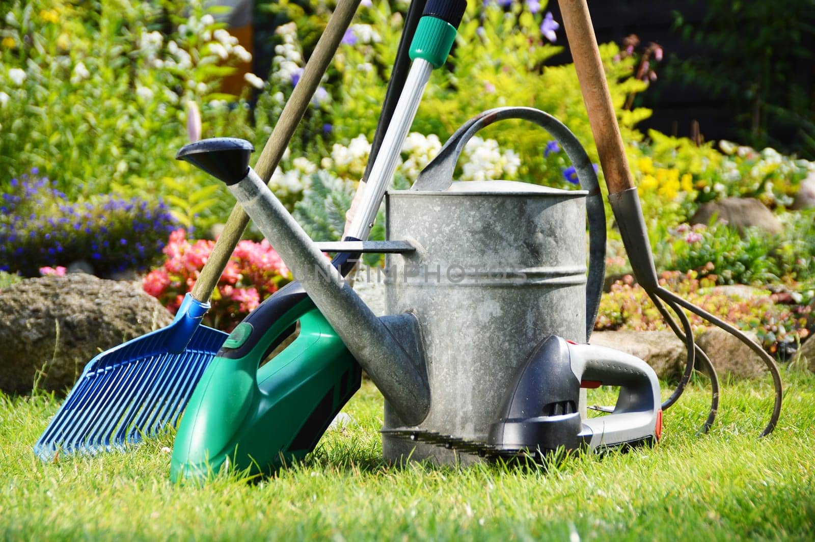 Watering can and tools in the garden