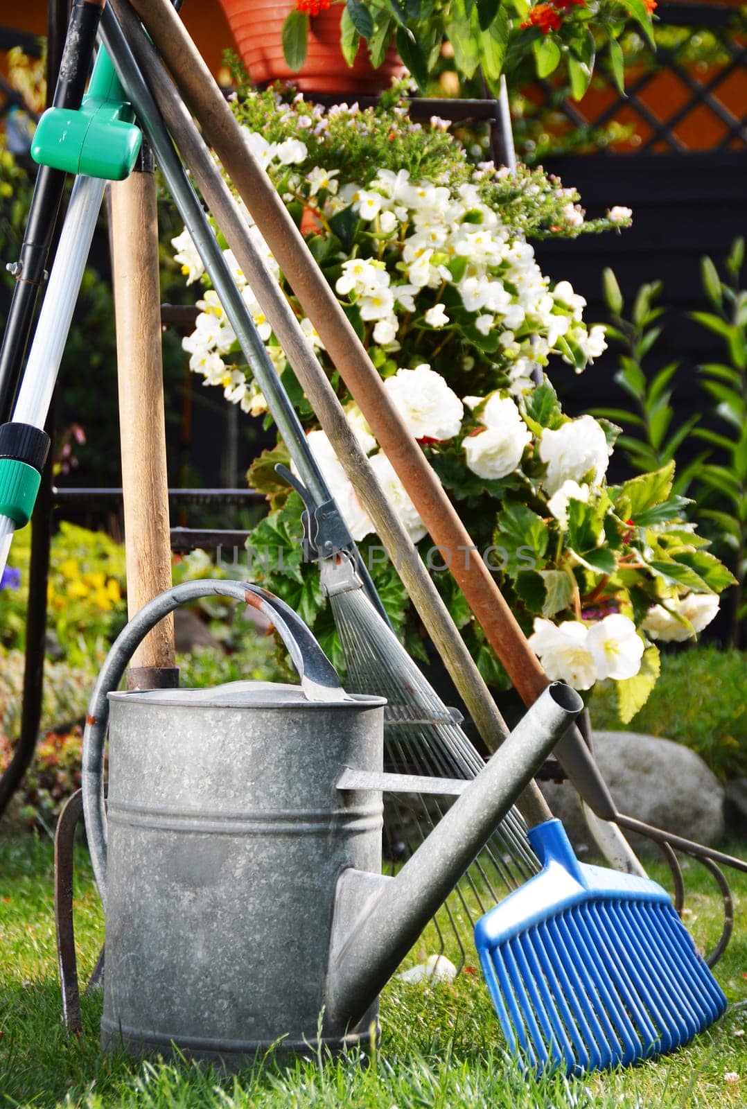 Watering can and tools in the garden
