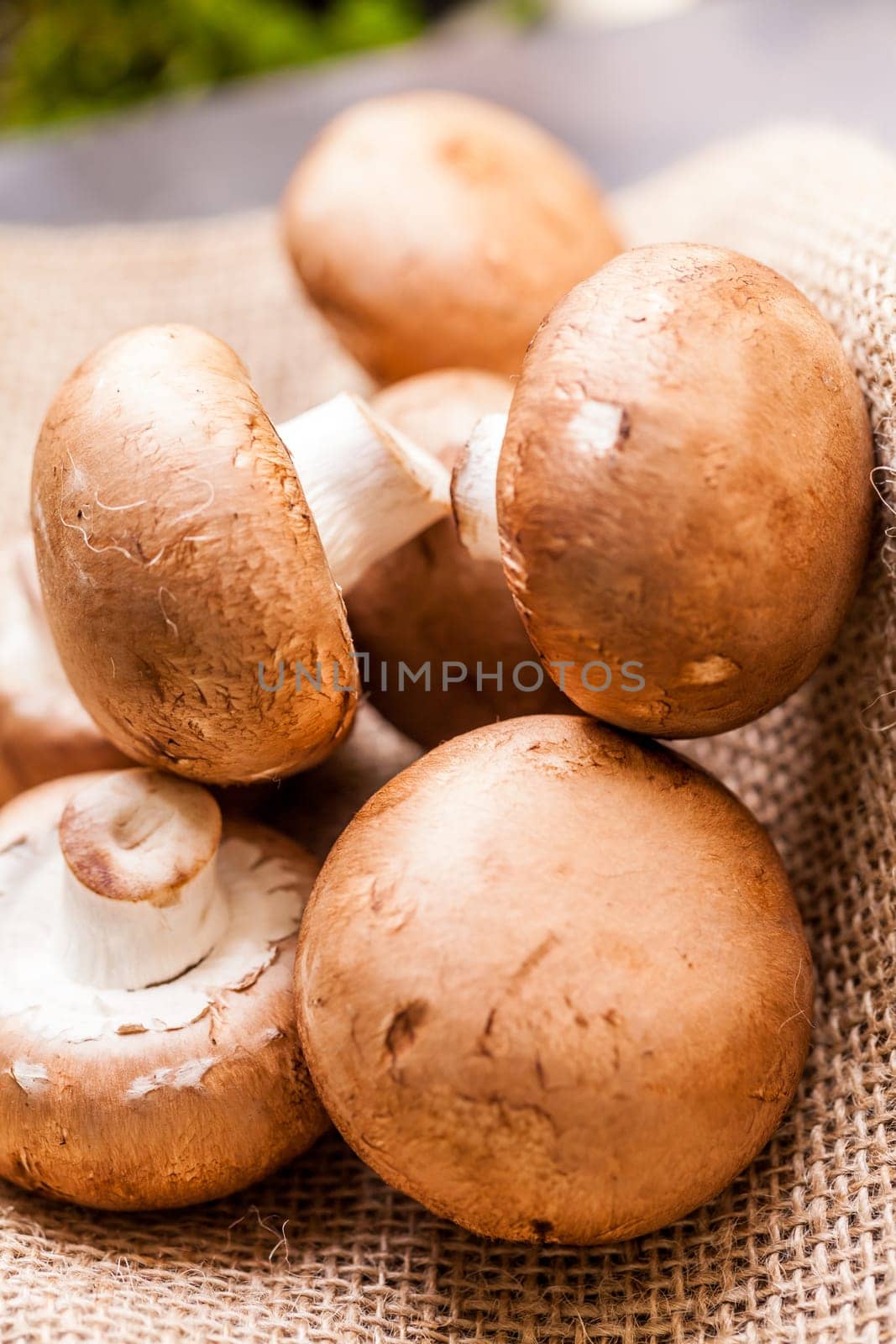 Fresh braund champignons in sunlight on a wooden table in daylight
