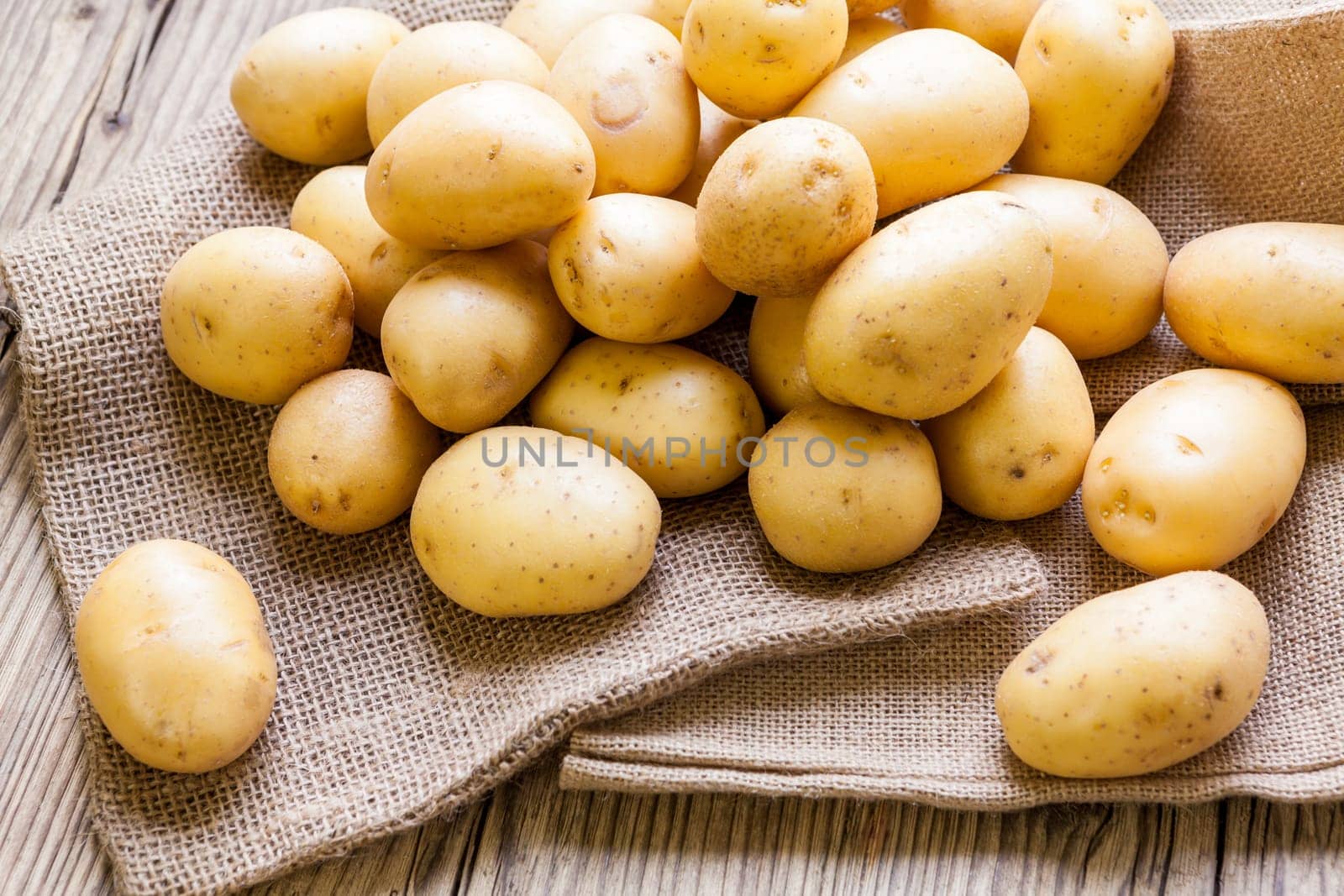 Fresh new potatoes on a jute sack with a green background as a close-up