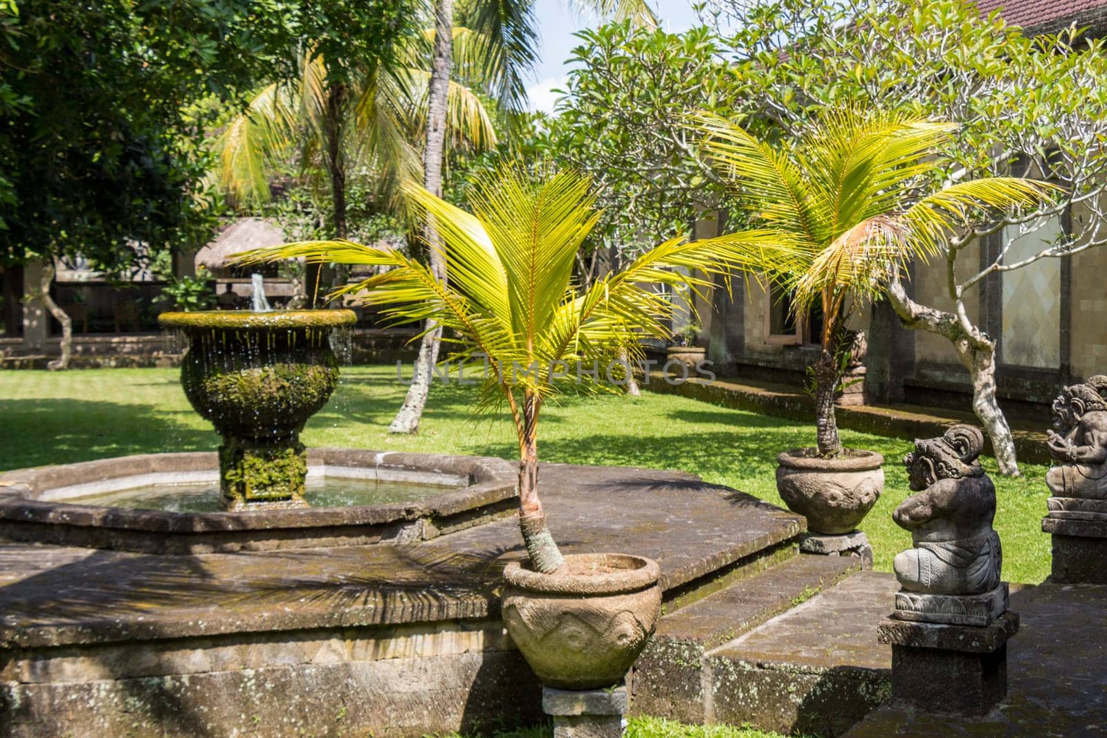 Fountain in an artificial garden in summer in Bali