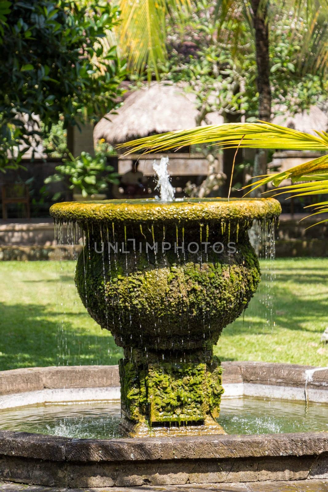 Fountain in an artificial garden in summer in Bali