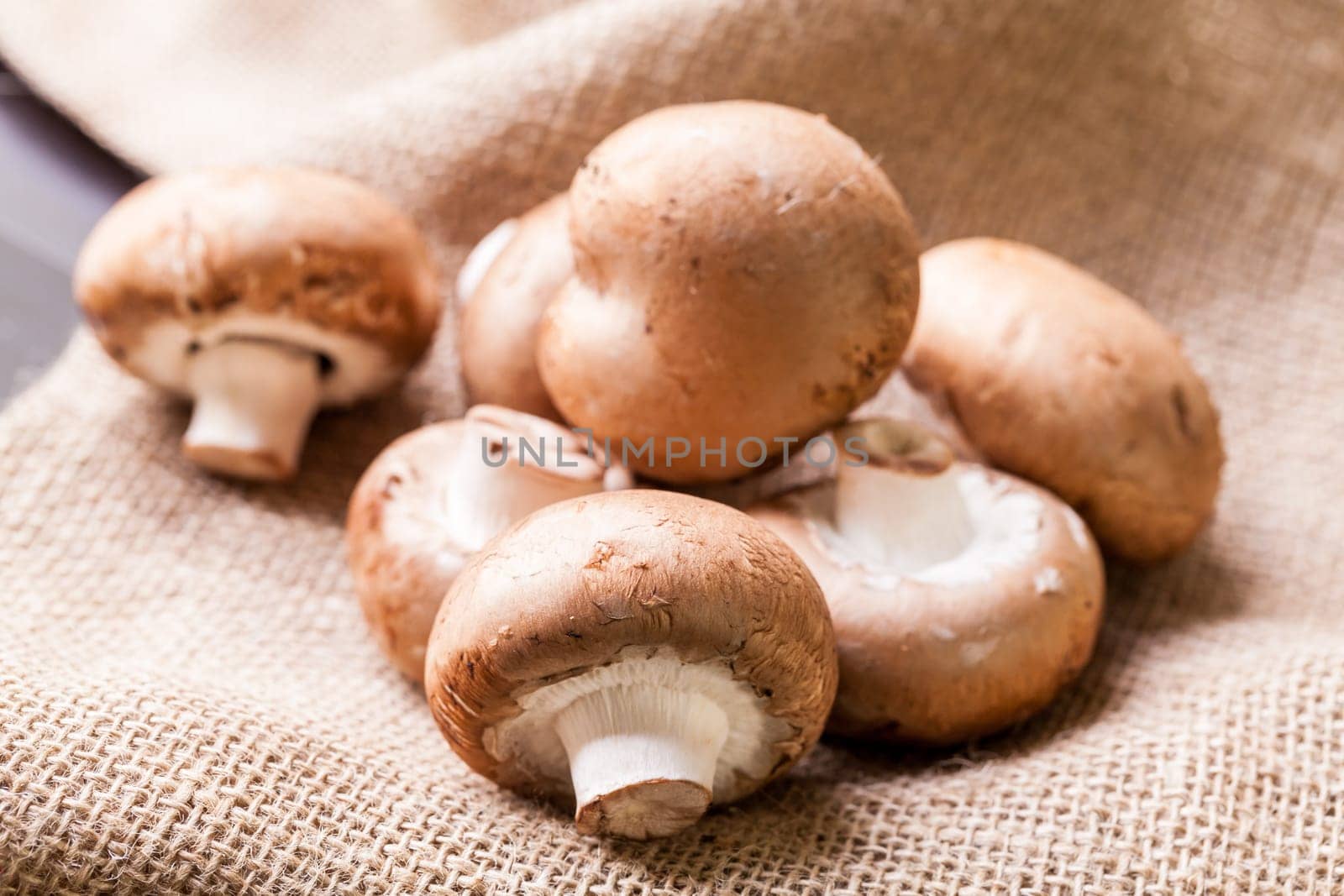 Fresh braund champignons in sunlight on a wooden table in daylight