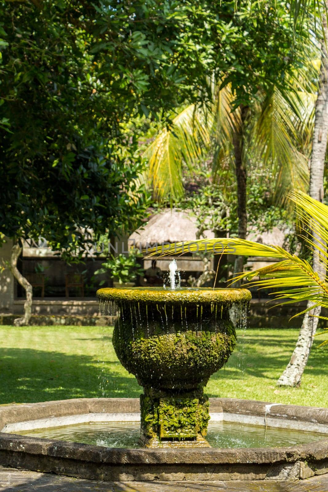 Fountain in an artificial garden in summer in Bali