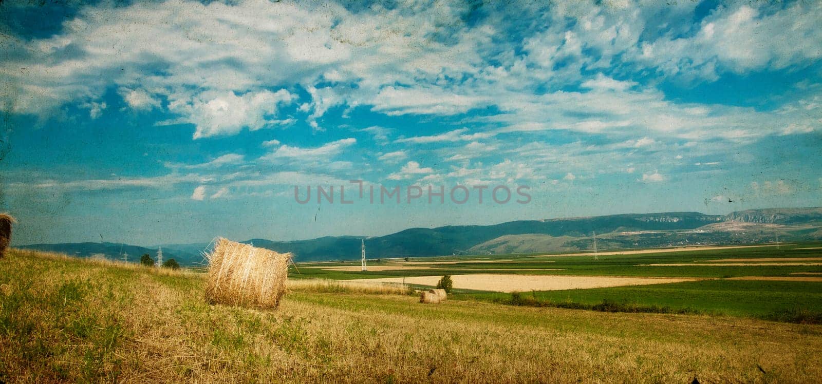 Vintage photo of hay-roll on field after harvest