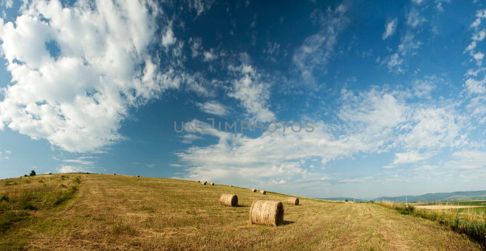Vintage photo of hay-roll on field after harvest