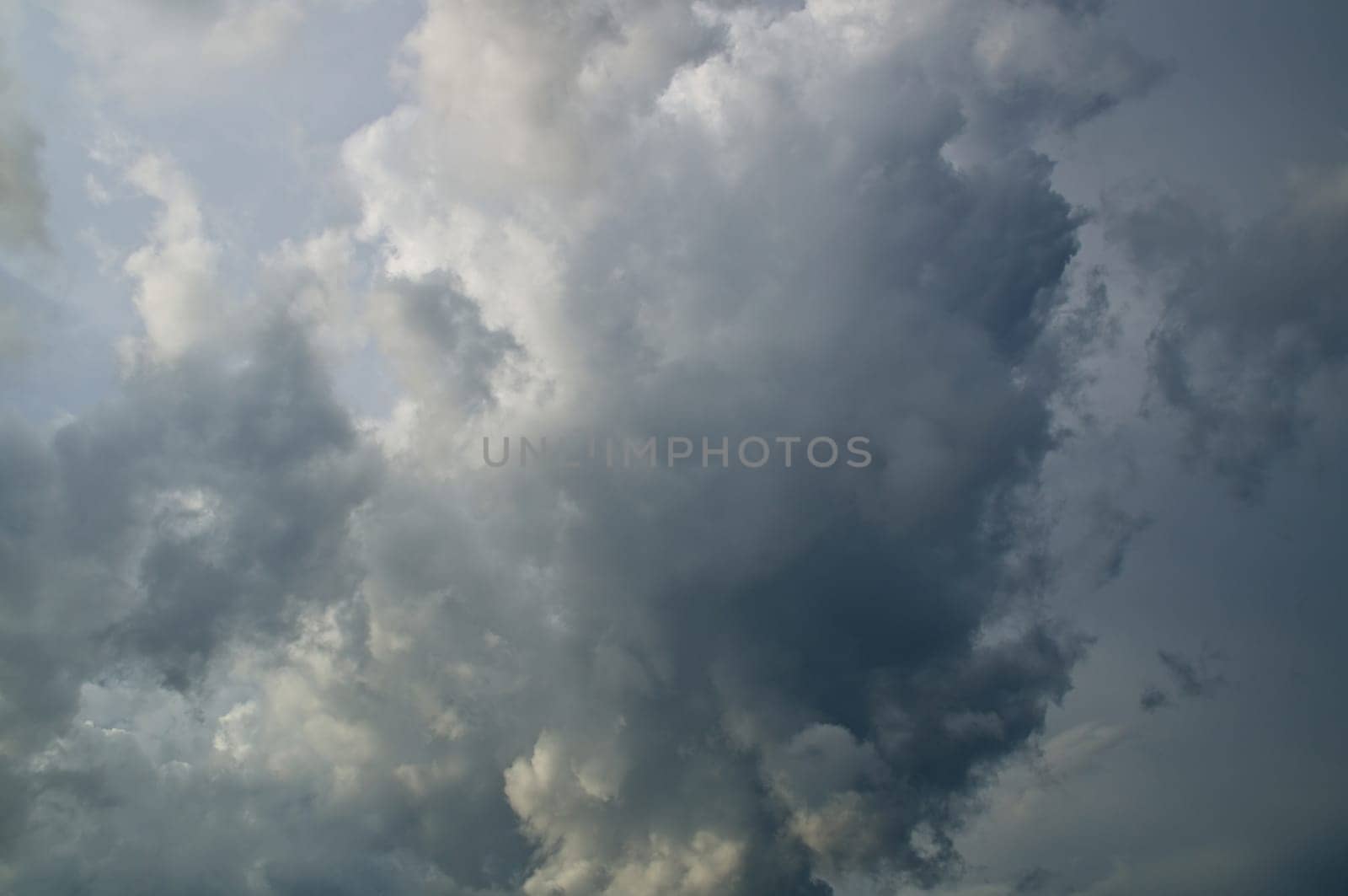 Thick and heavy storm clouds fill the sky in southwest florida.
