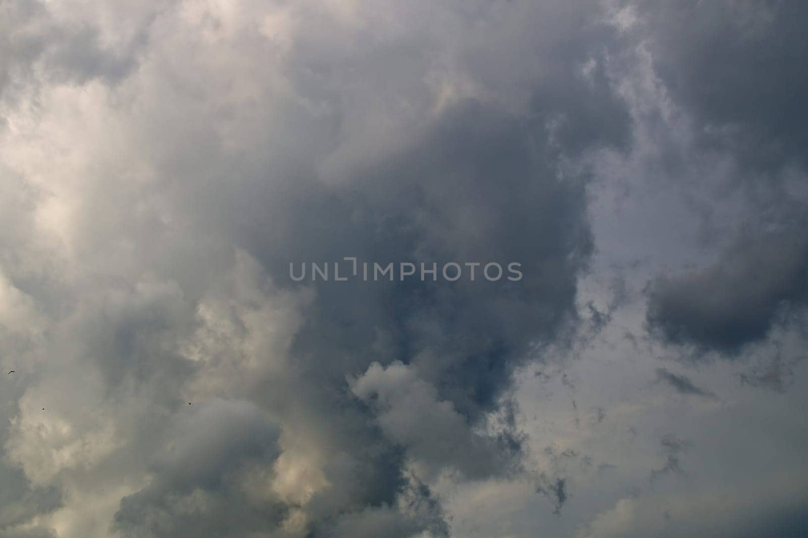 Thick and heavy storm clouds fill the sky in southwest florida.