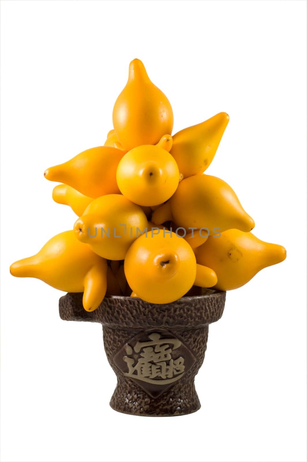 Ornamental solanum mammosum plant, representing lucky symbols in Chinese New Year, isolated over white