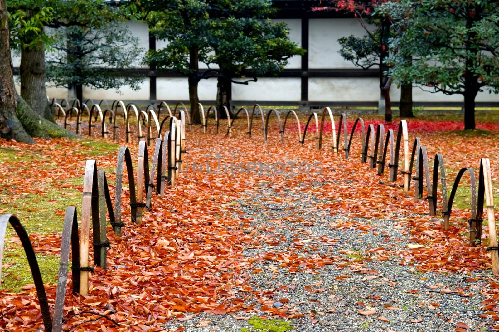 The back yard of Japanese garden, in fall