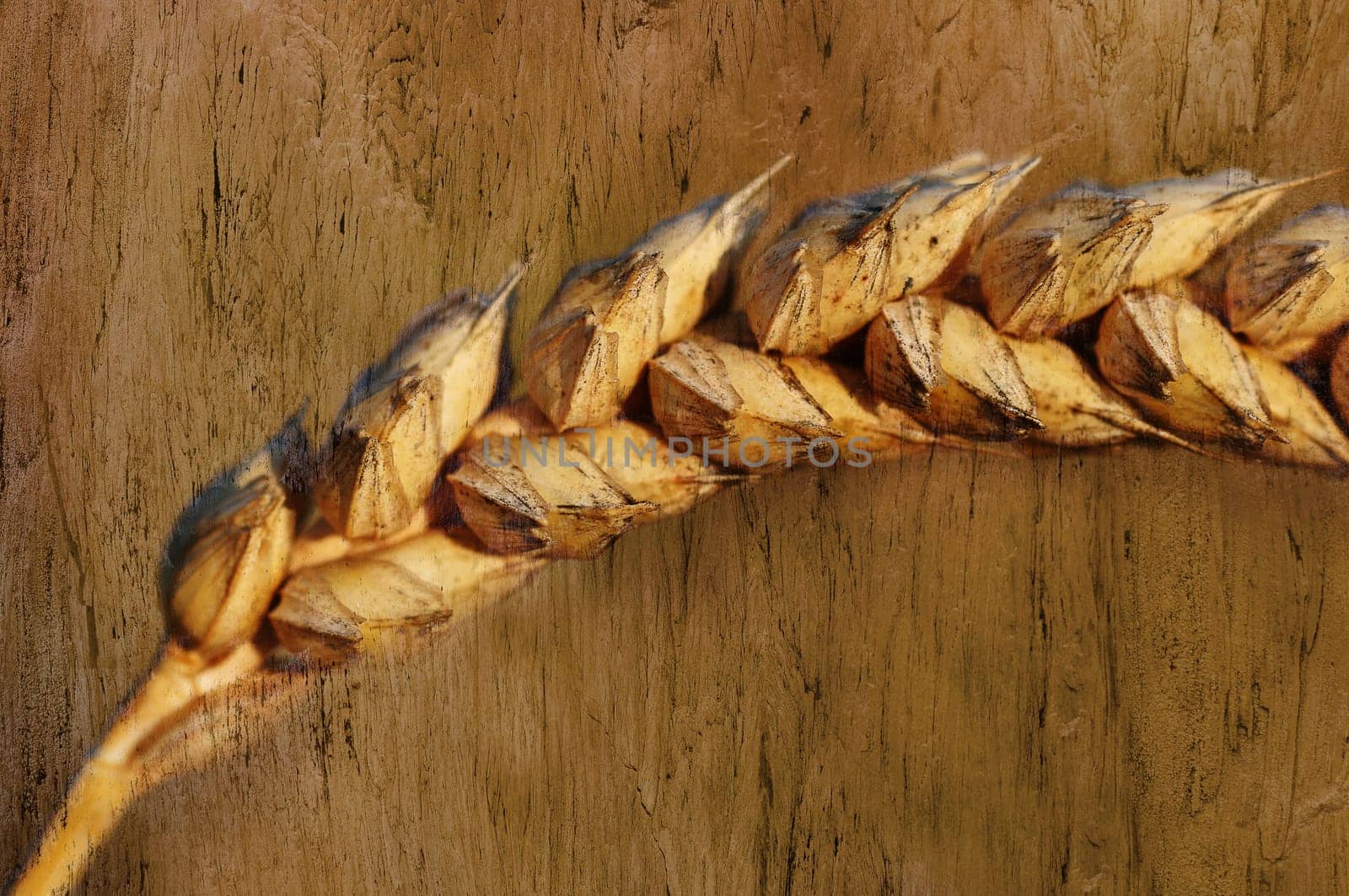 barley