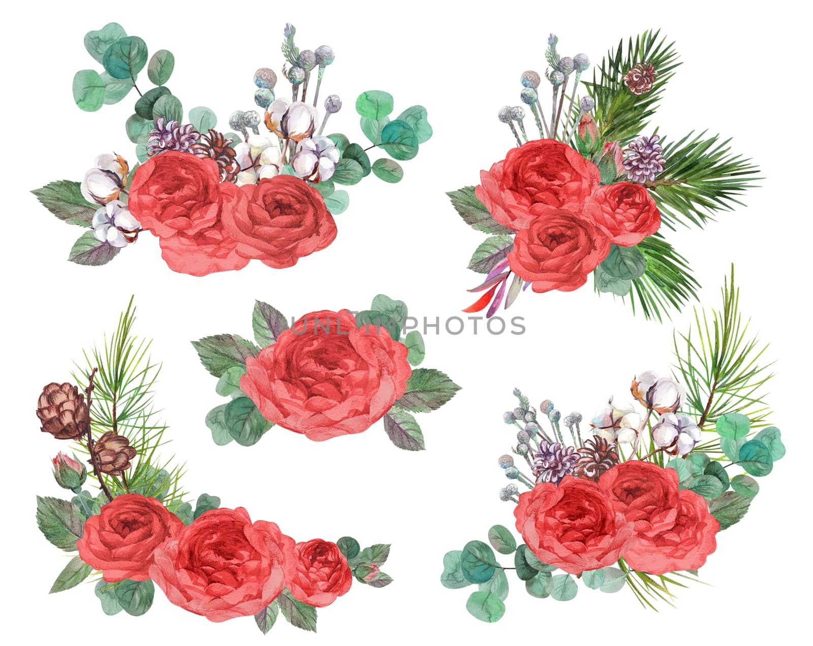 set of Christmas winter bouquets for cards with red roses and spruce branches with pine cones painted in watercolor isolated