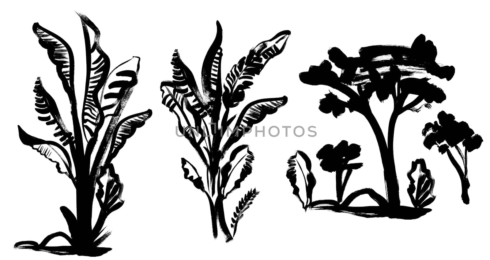 set of black and white African trees painted in gouache with a dry brush for tropical design and safari