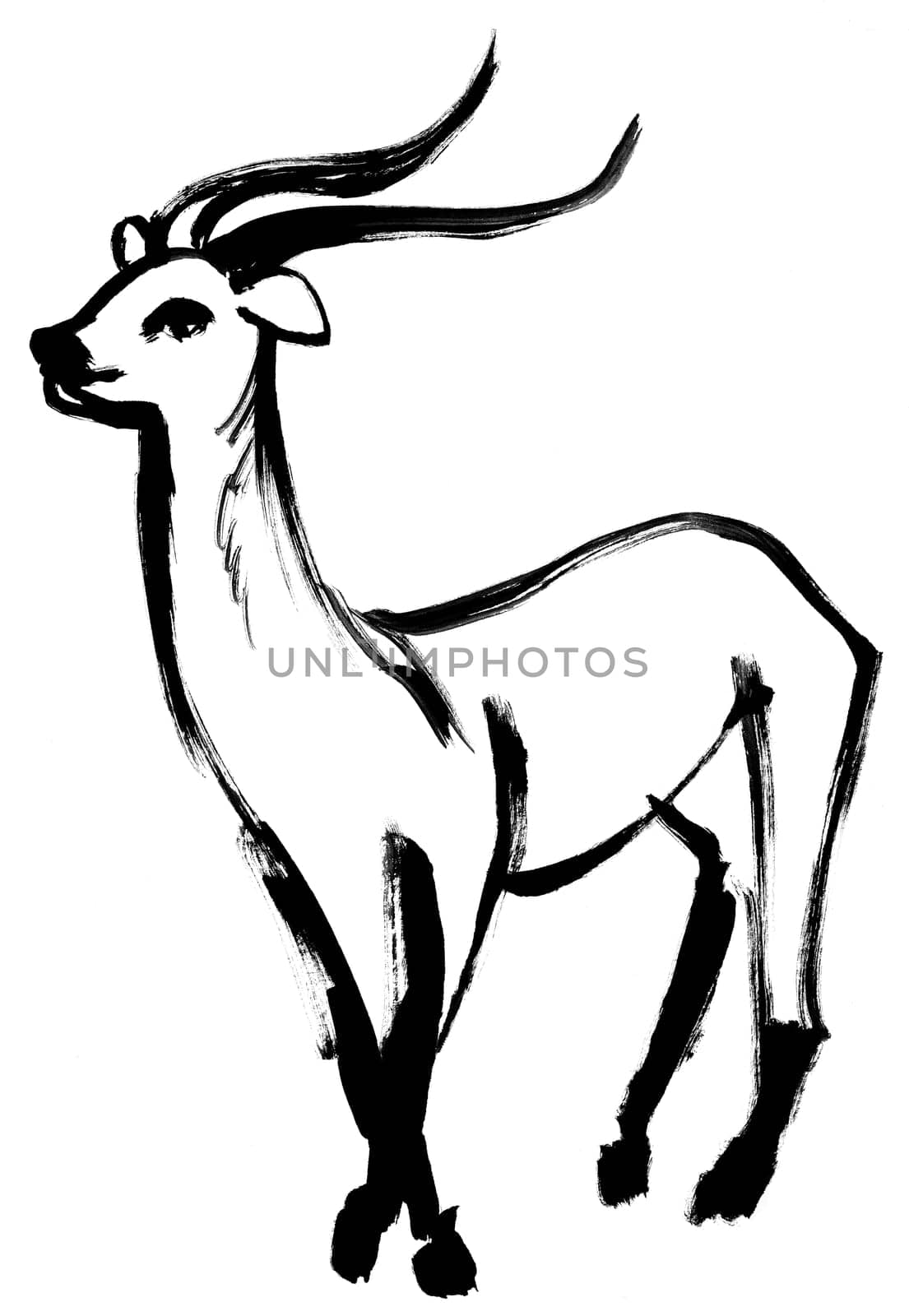 African antelope illustration painted in black gouache isolated on white paper in drybrush technique for design and other